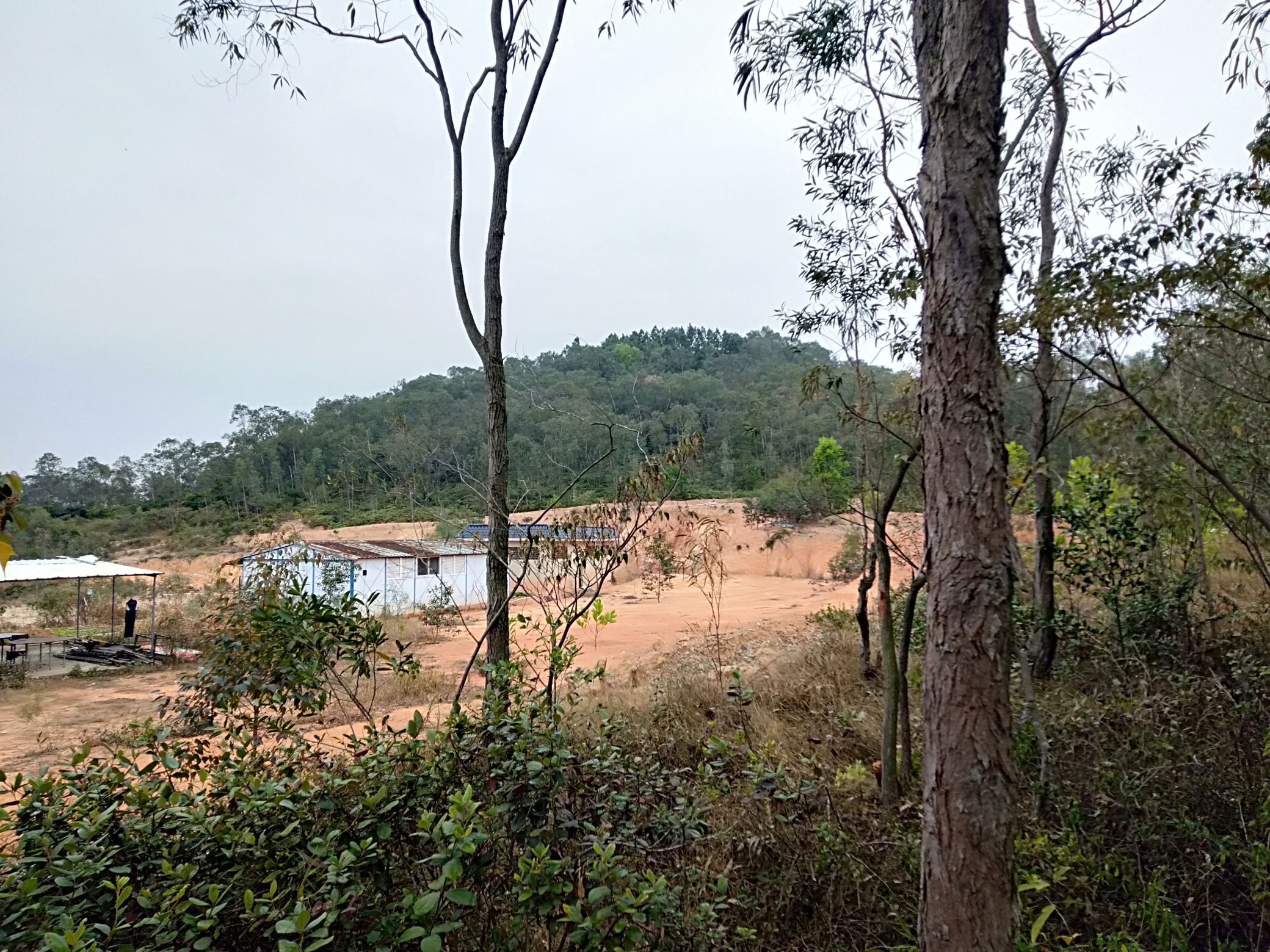 丽山森林公园旅行图片 3