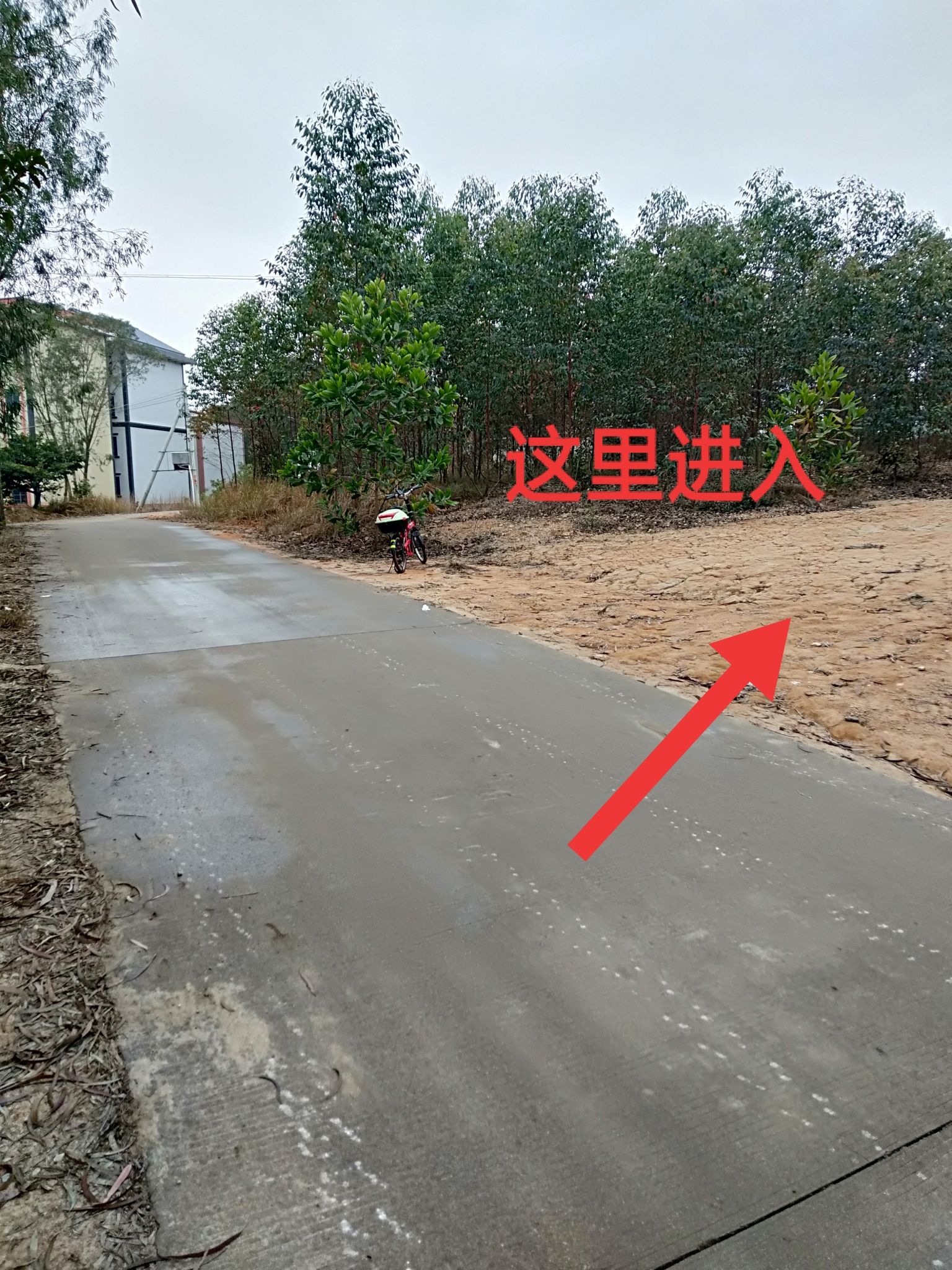 丽山森林公园旅行图片 1