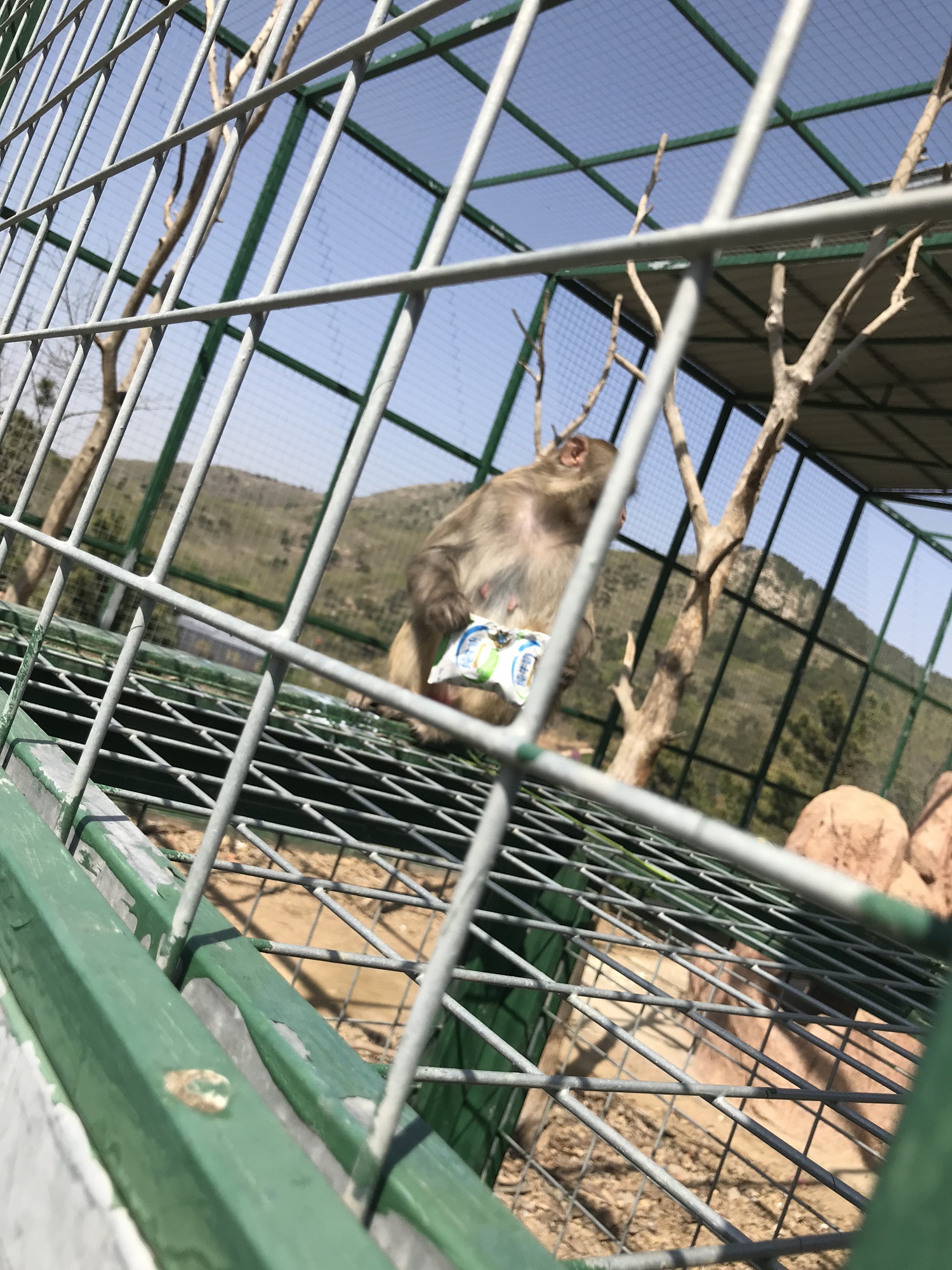 宝湖奔马园旅行图片 3