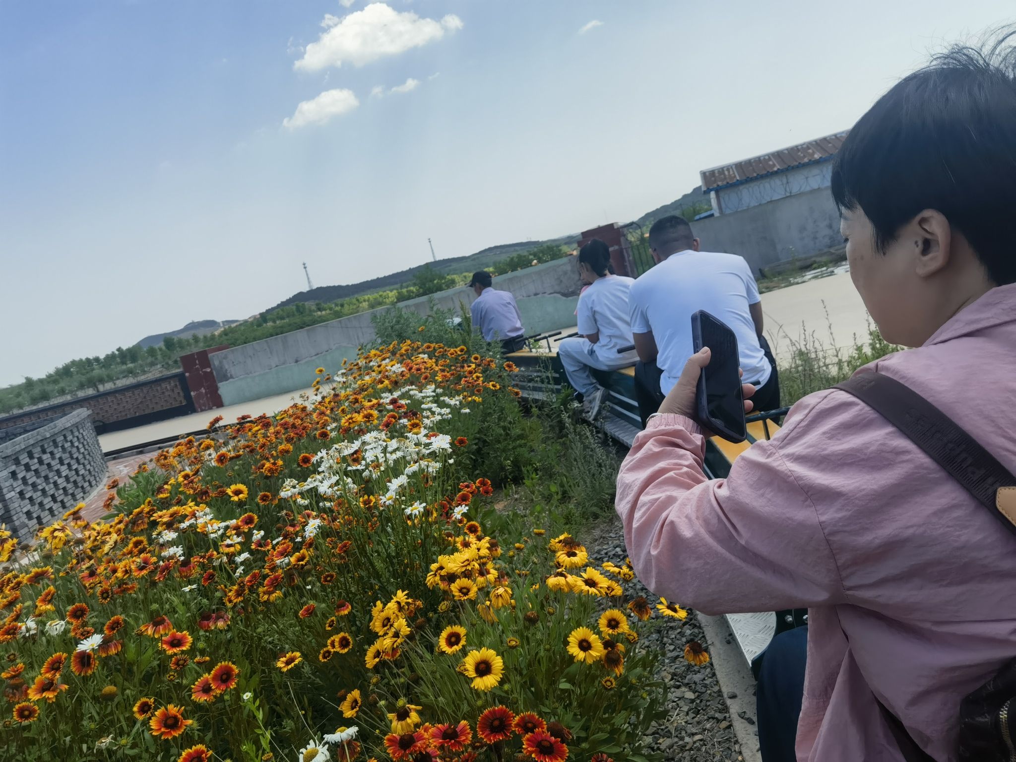 宝湖奔马园旅行图片 3