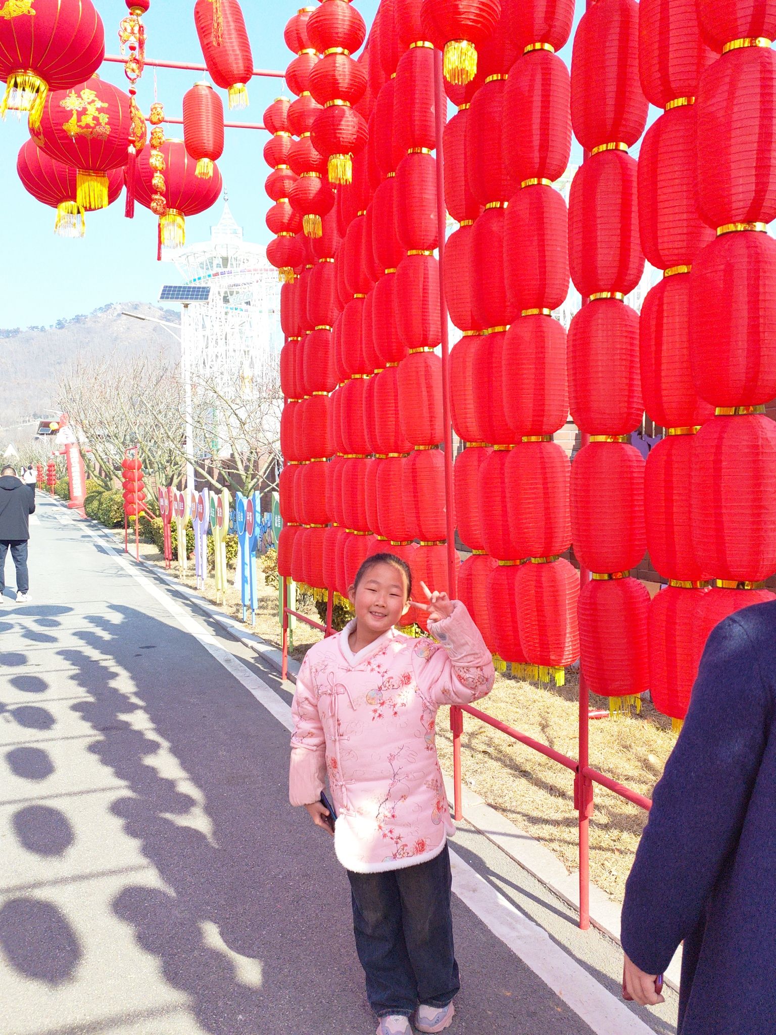 宝湖奔马园旅行图片 3