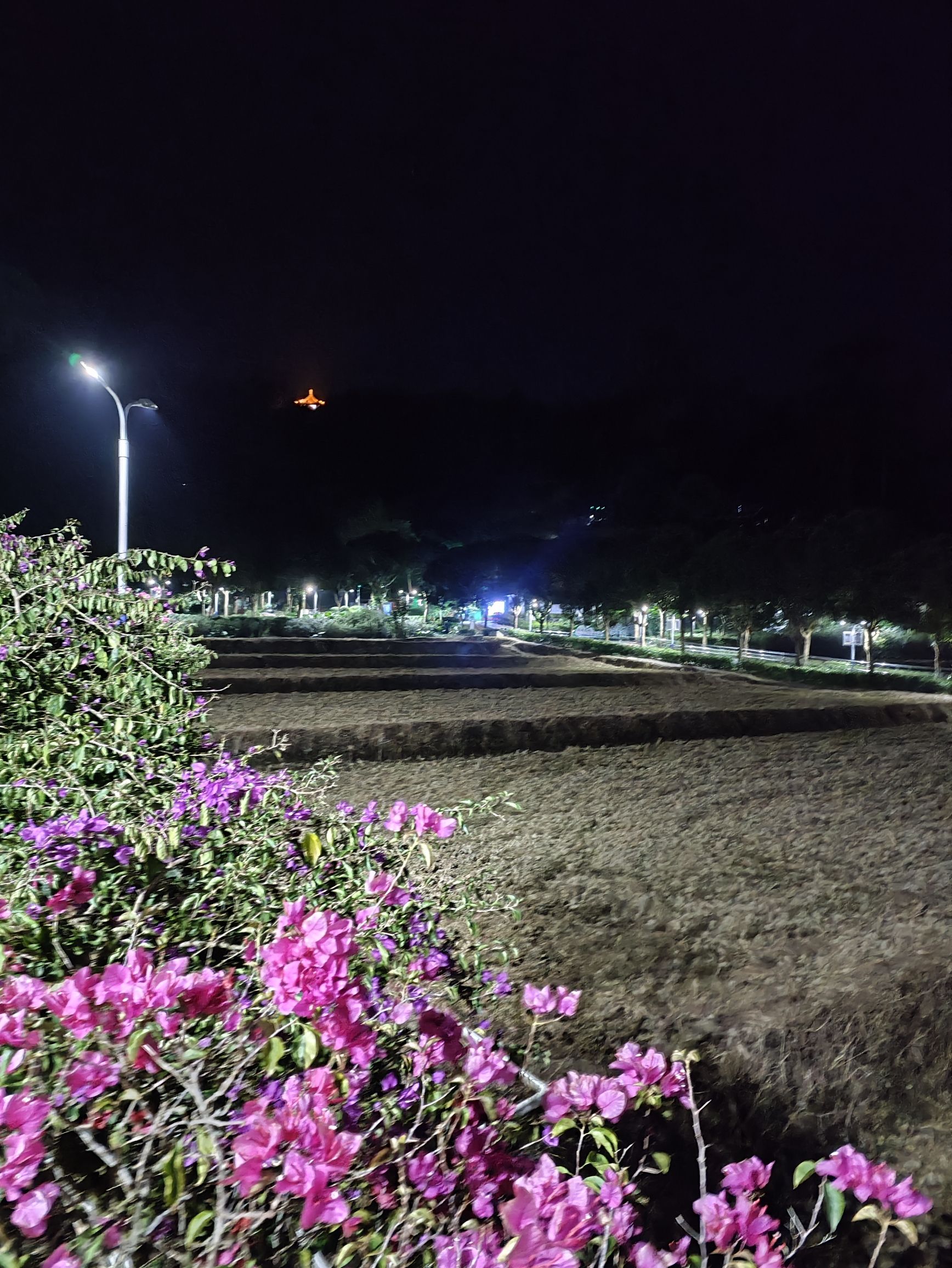 广东南山森林公园旅行图片 1