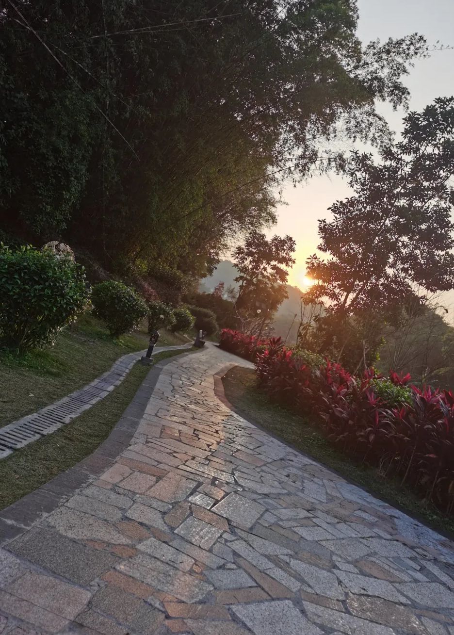 广东南山森林公园旅行图片 1