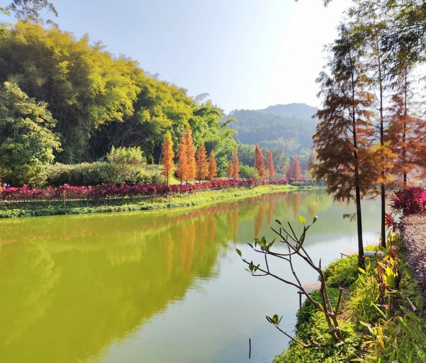 广东南山森林公园旅行图片 2