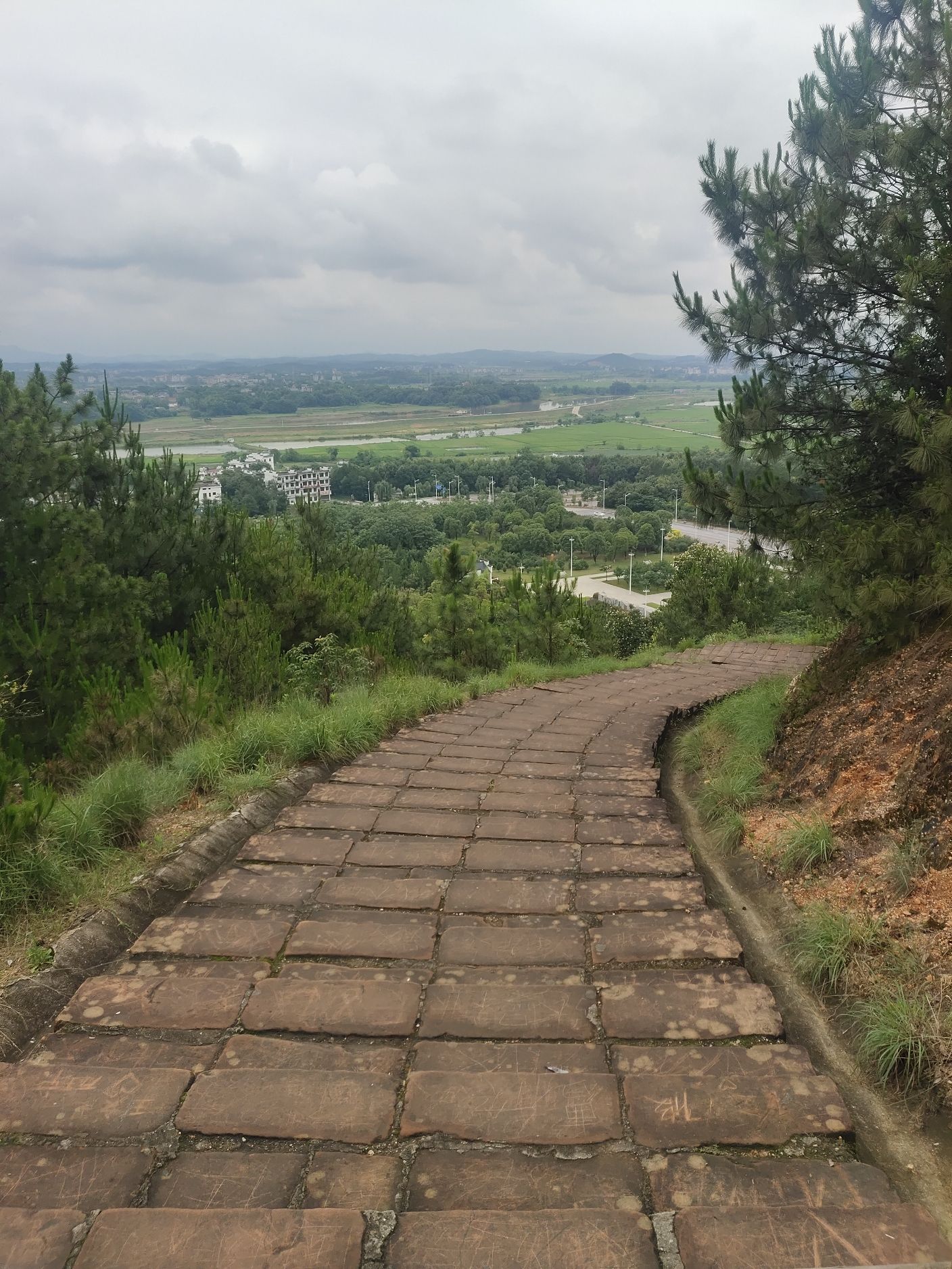 冕山公园旅行图片 3