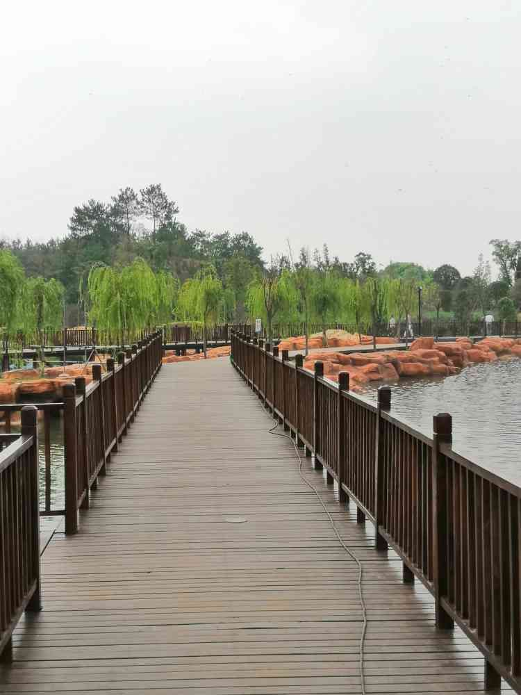 冕山公园旅行图片 1