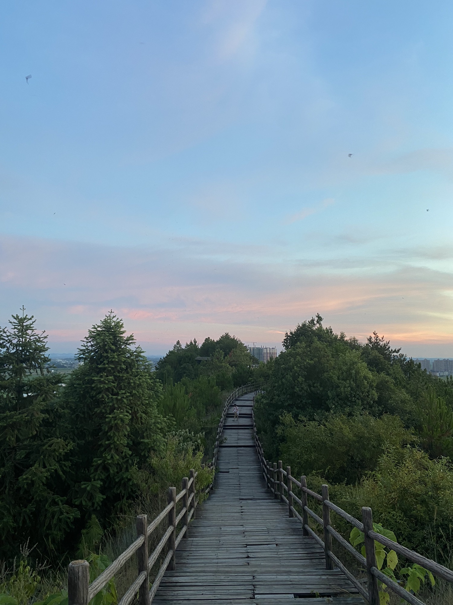 冕山公园旅行图片 2