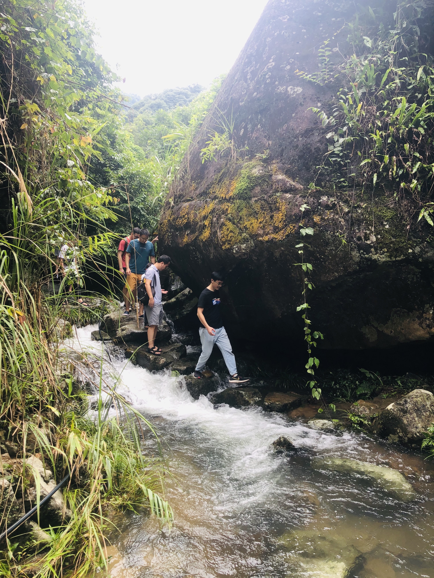 桫椤谷旅行图片 2