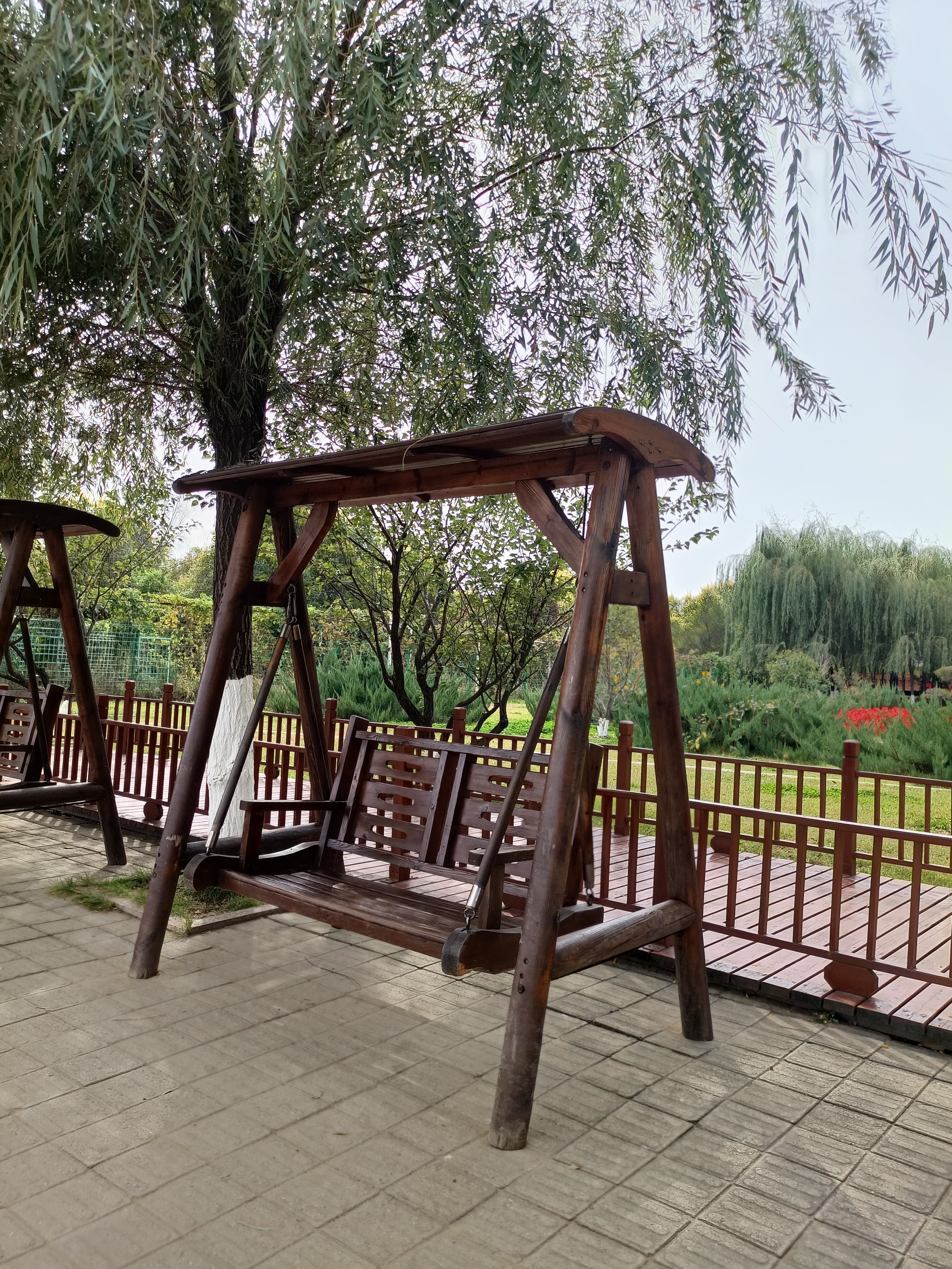 硅谷公园旅行图片 2