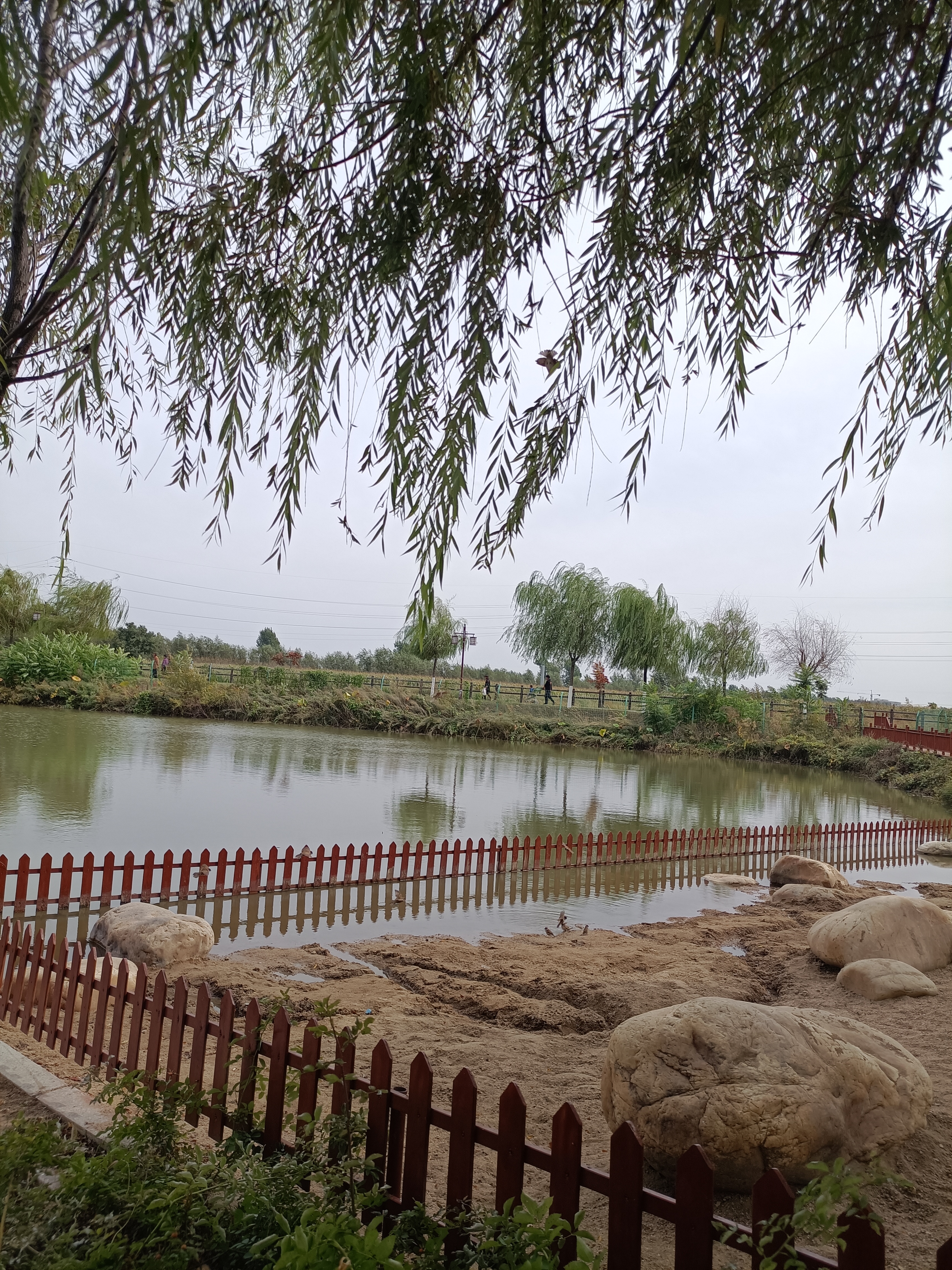 硅谷公园旅行图片 3