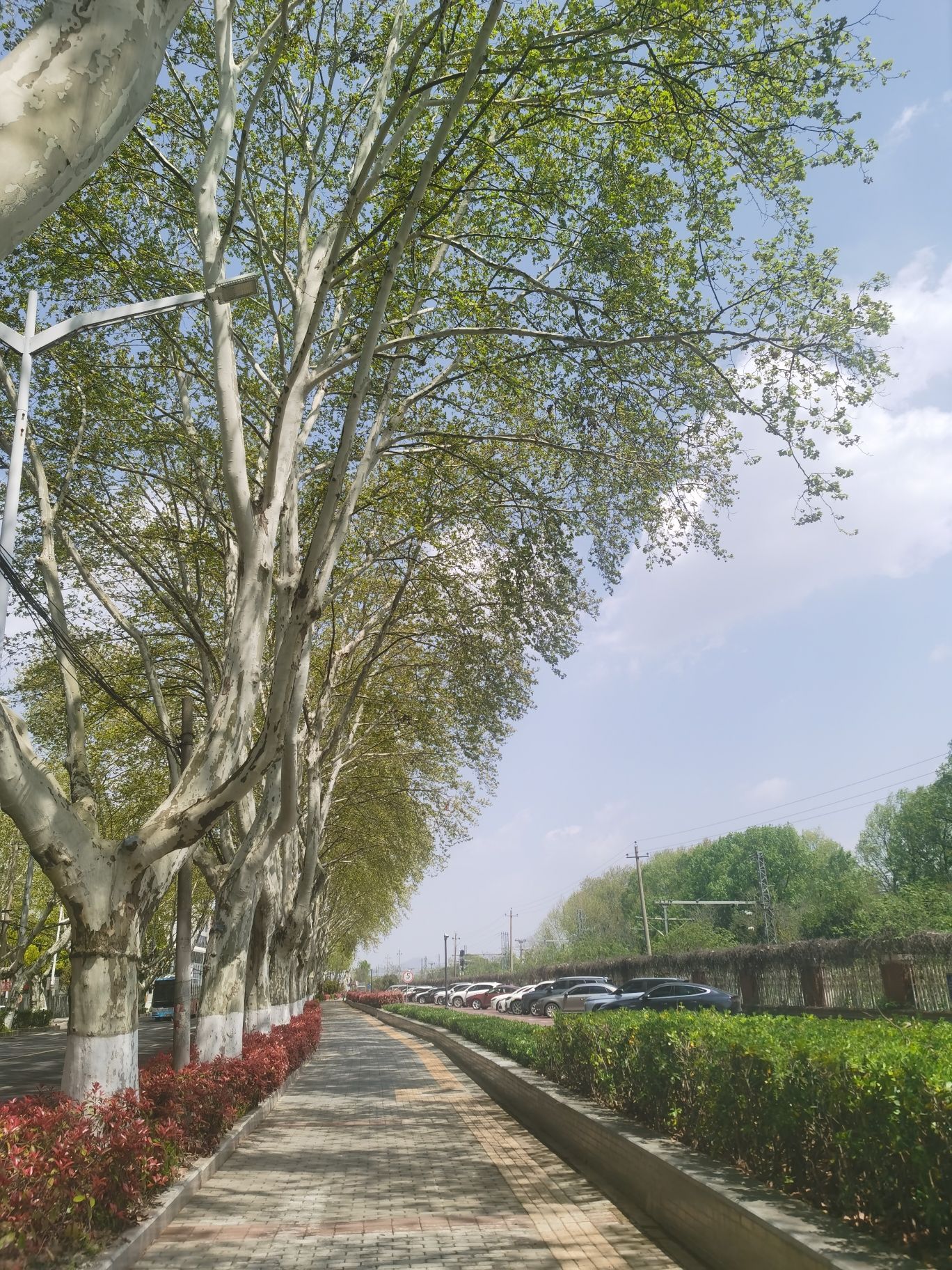 姚坊门遗址公园旅行图片 2