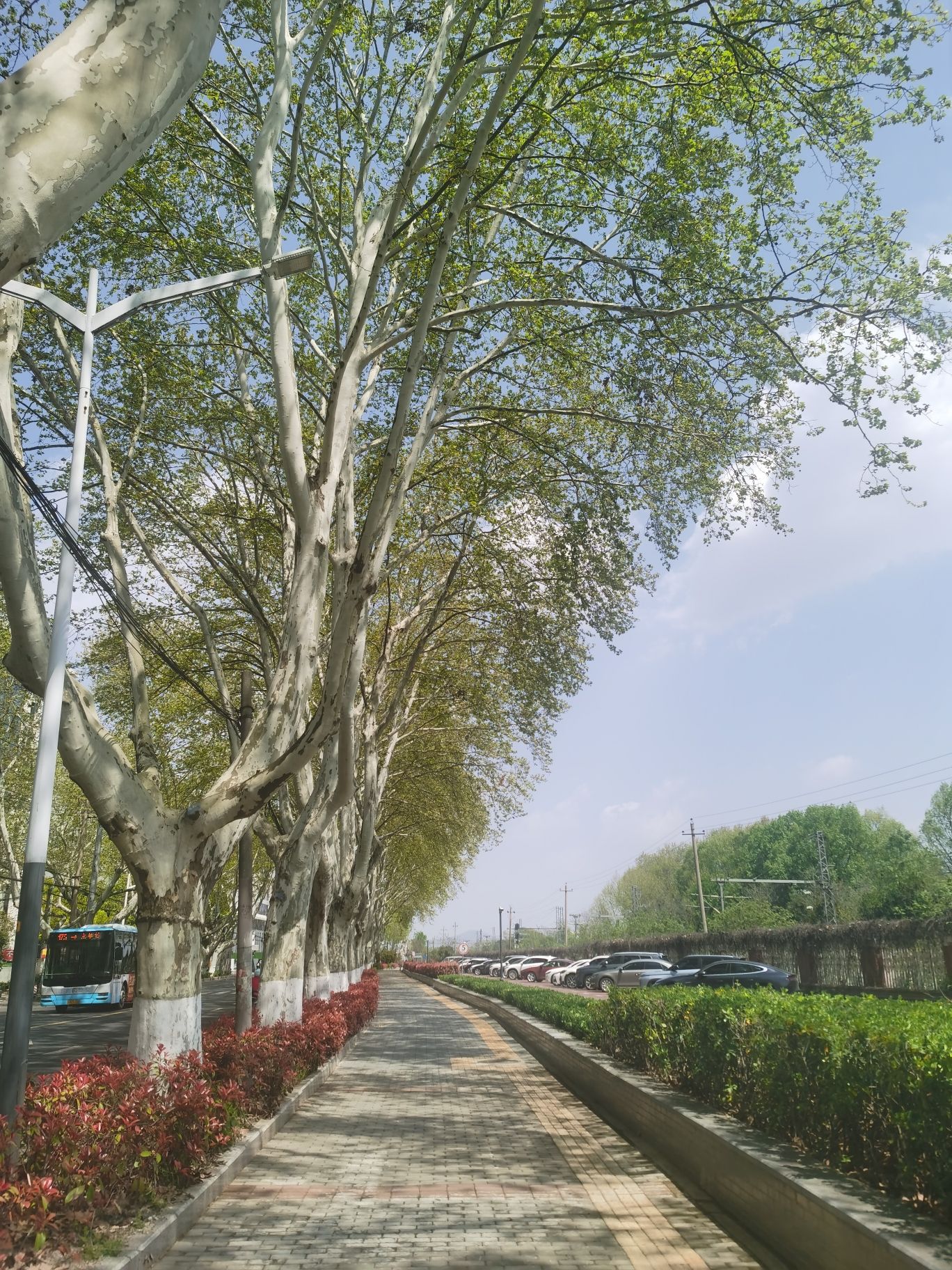 姚坊门遗址公园旅行图片 1