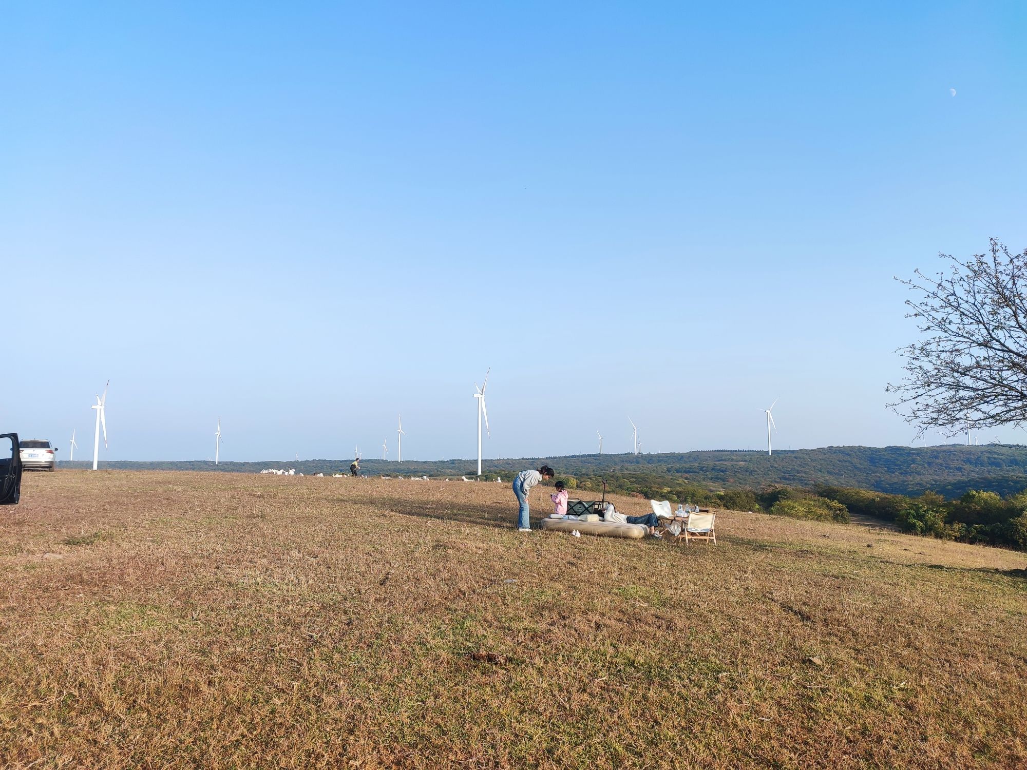 小燕窝火山地质公园旅行图片 1