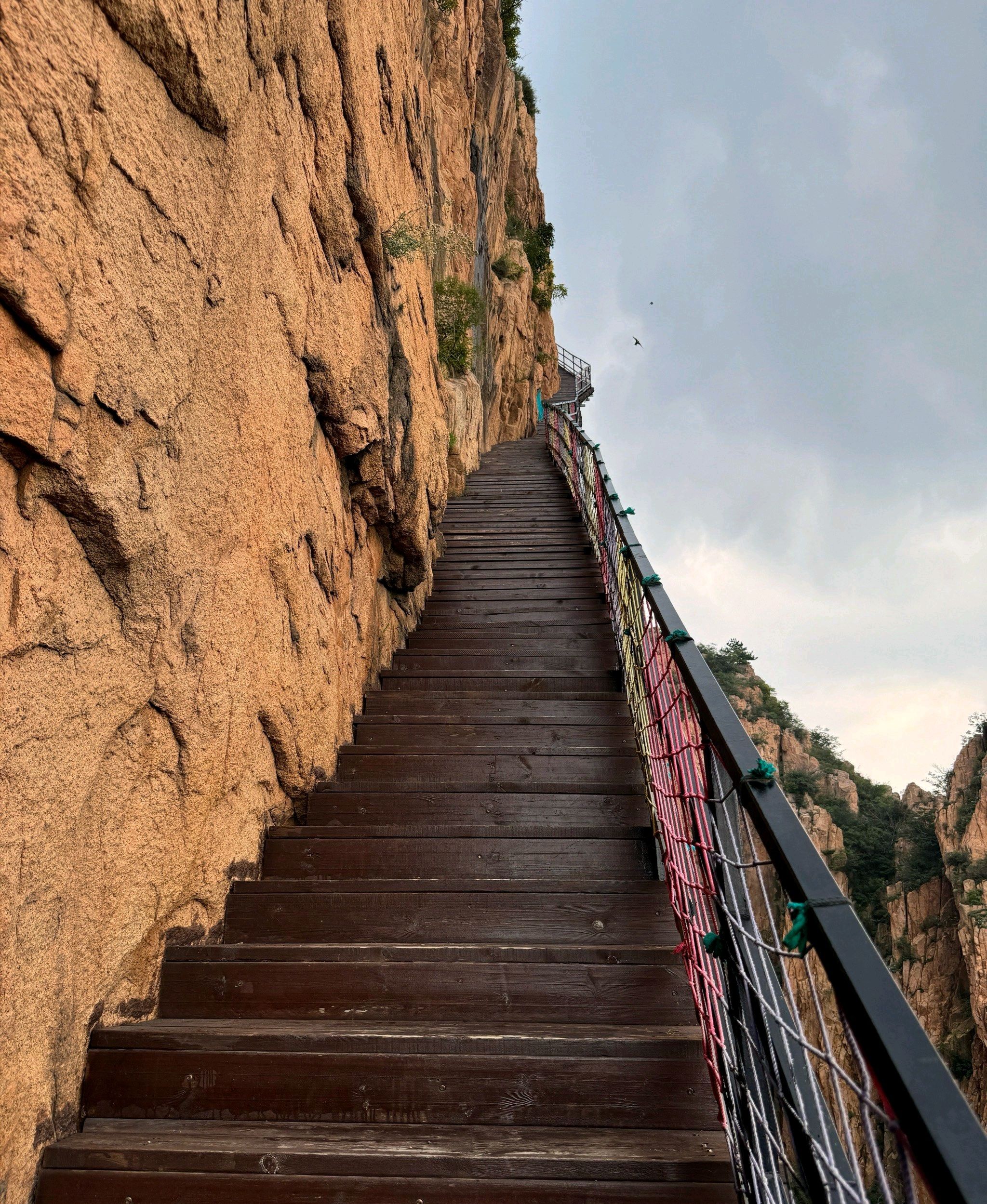 龙云谷旅行图片 3