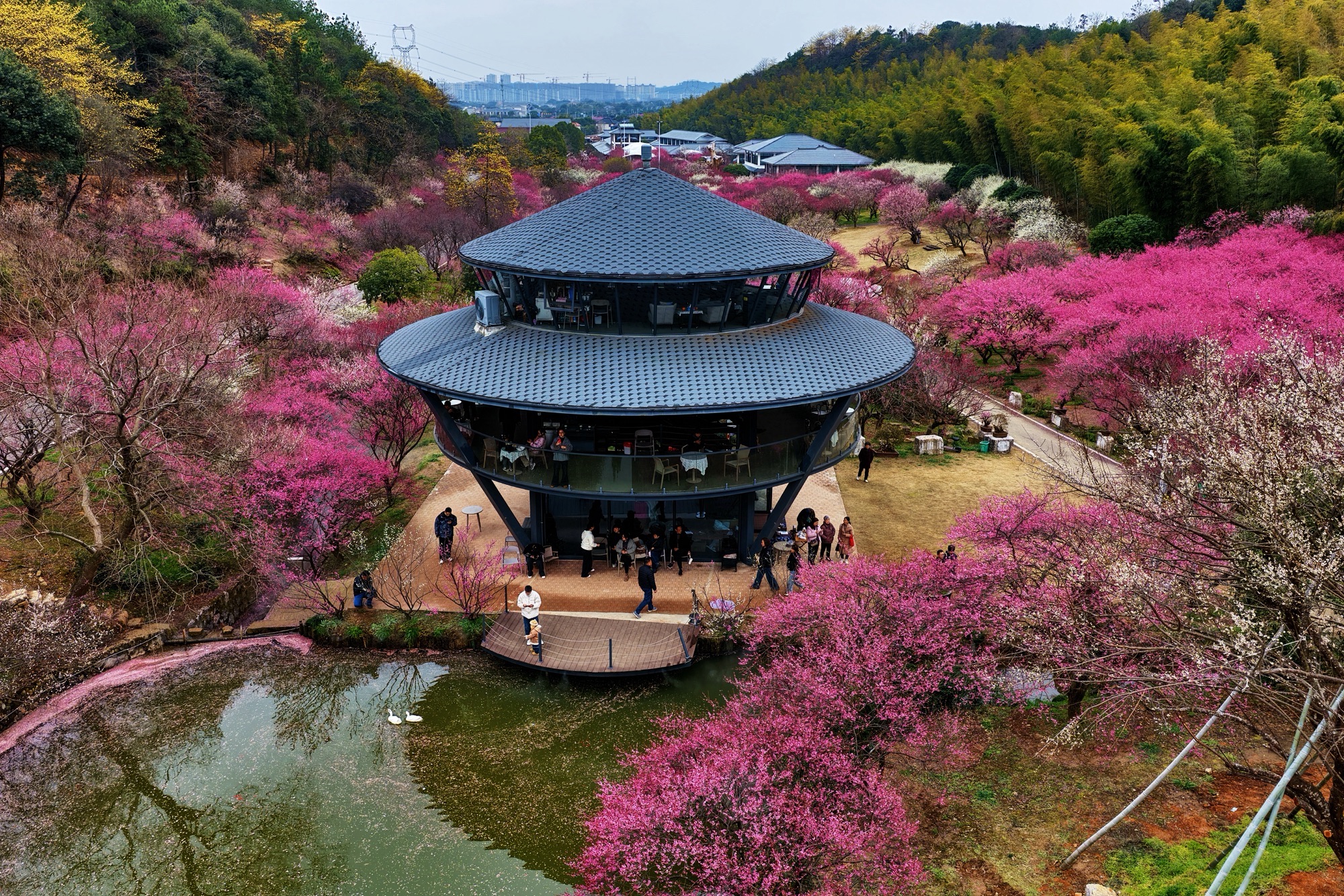 长兴东方梅园景区