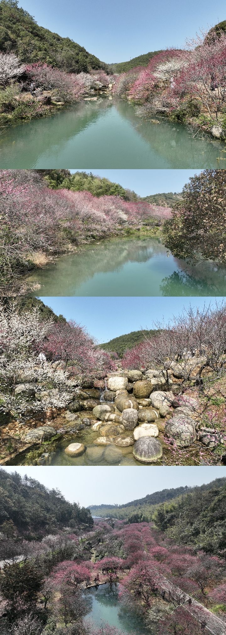 长兴东方梅园景区旅行图片 3