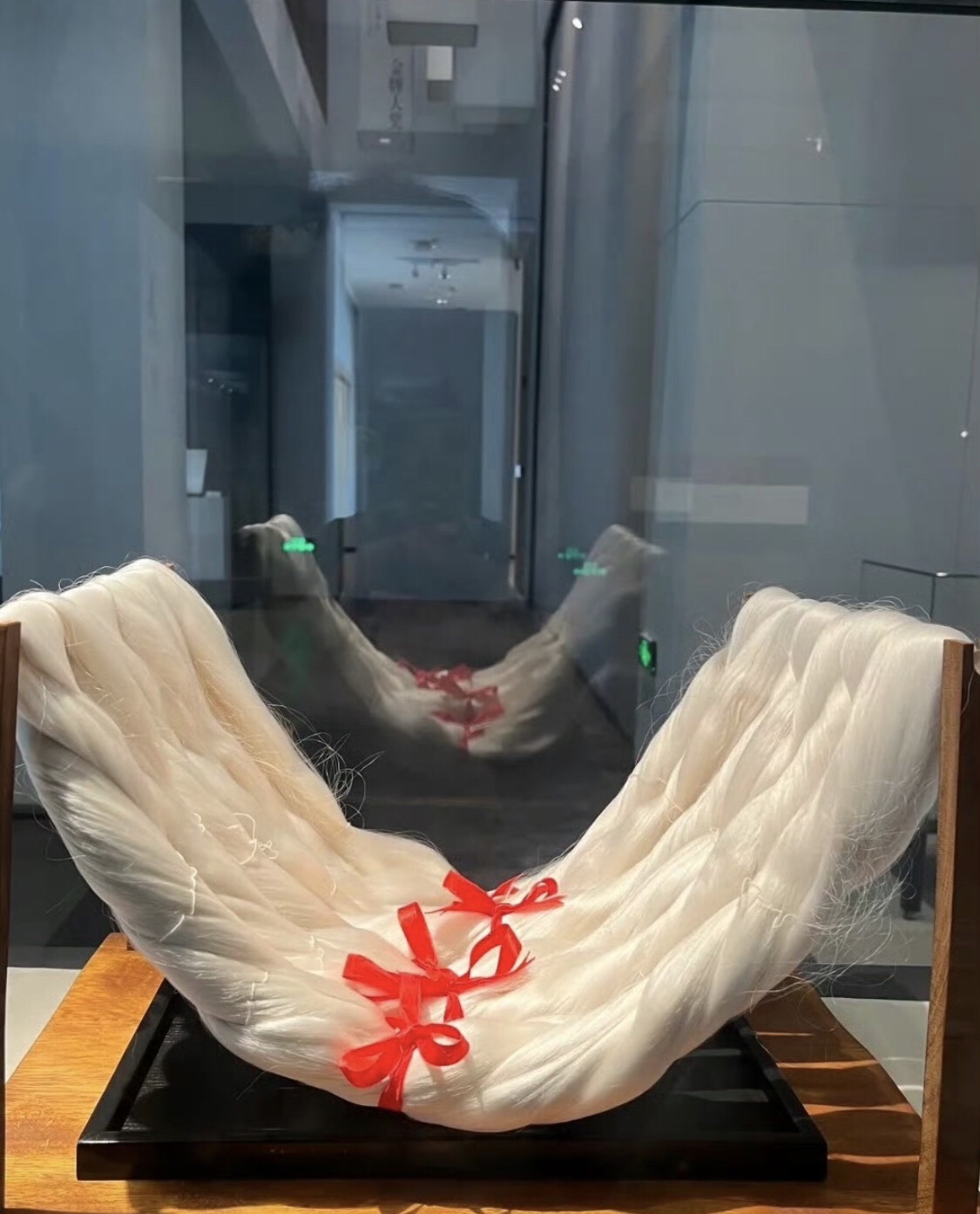 中国丝绸小镇旅行图片 3