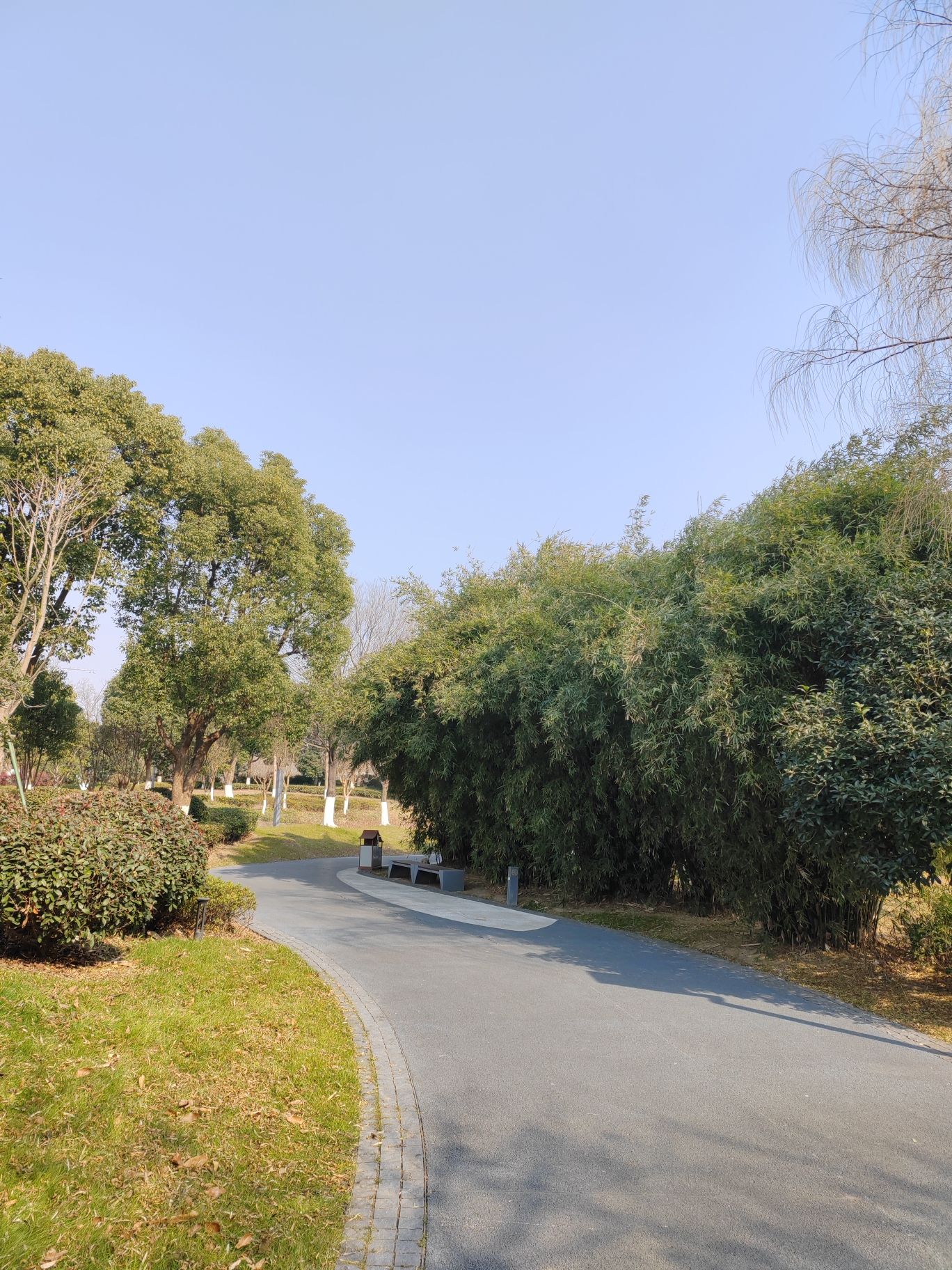 中国丝绸小镇旅行图片 1