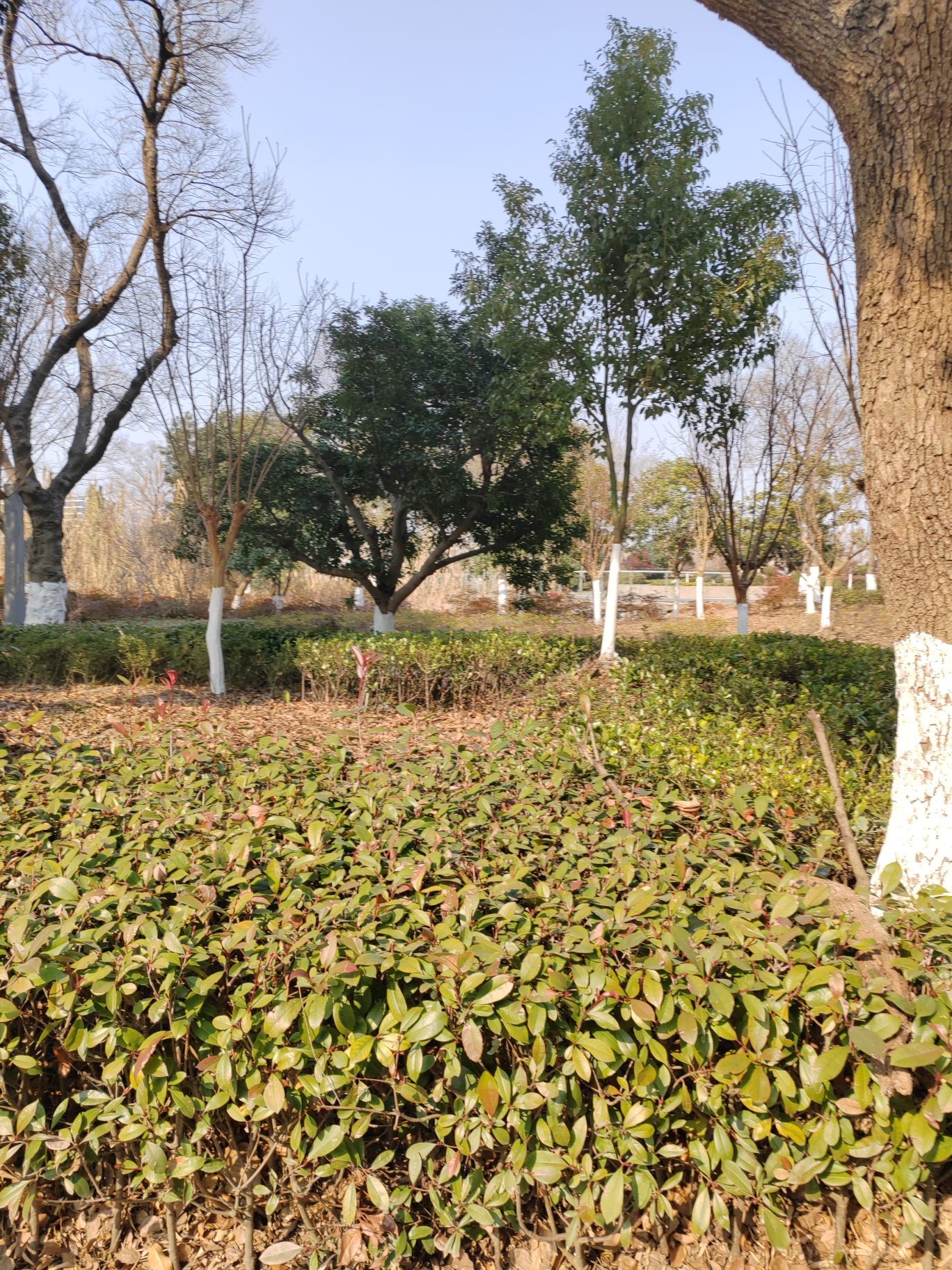 中国丝绸小镇旅行图片 3