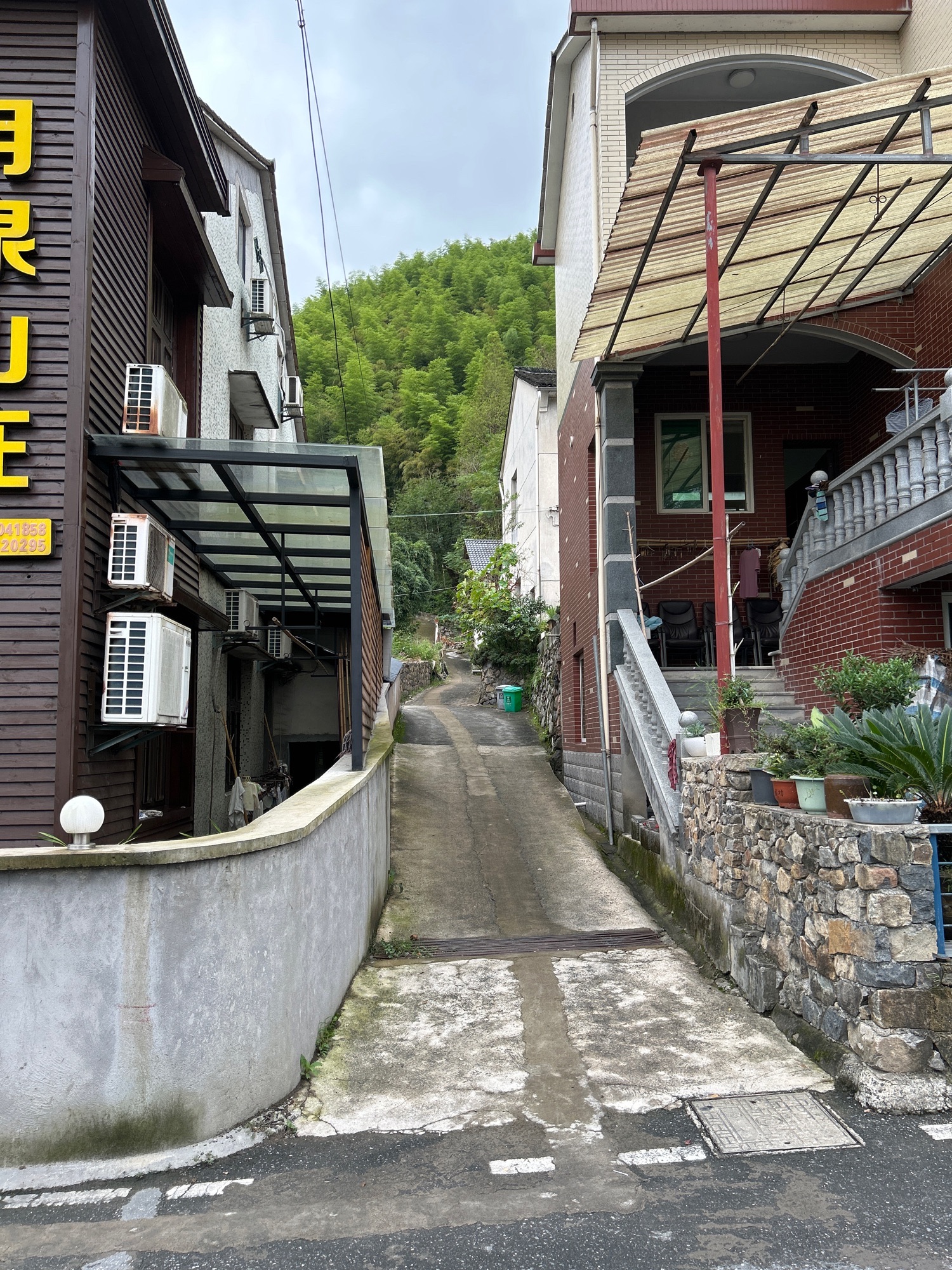 德清后坞村景区旅行图片 3