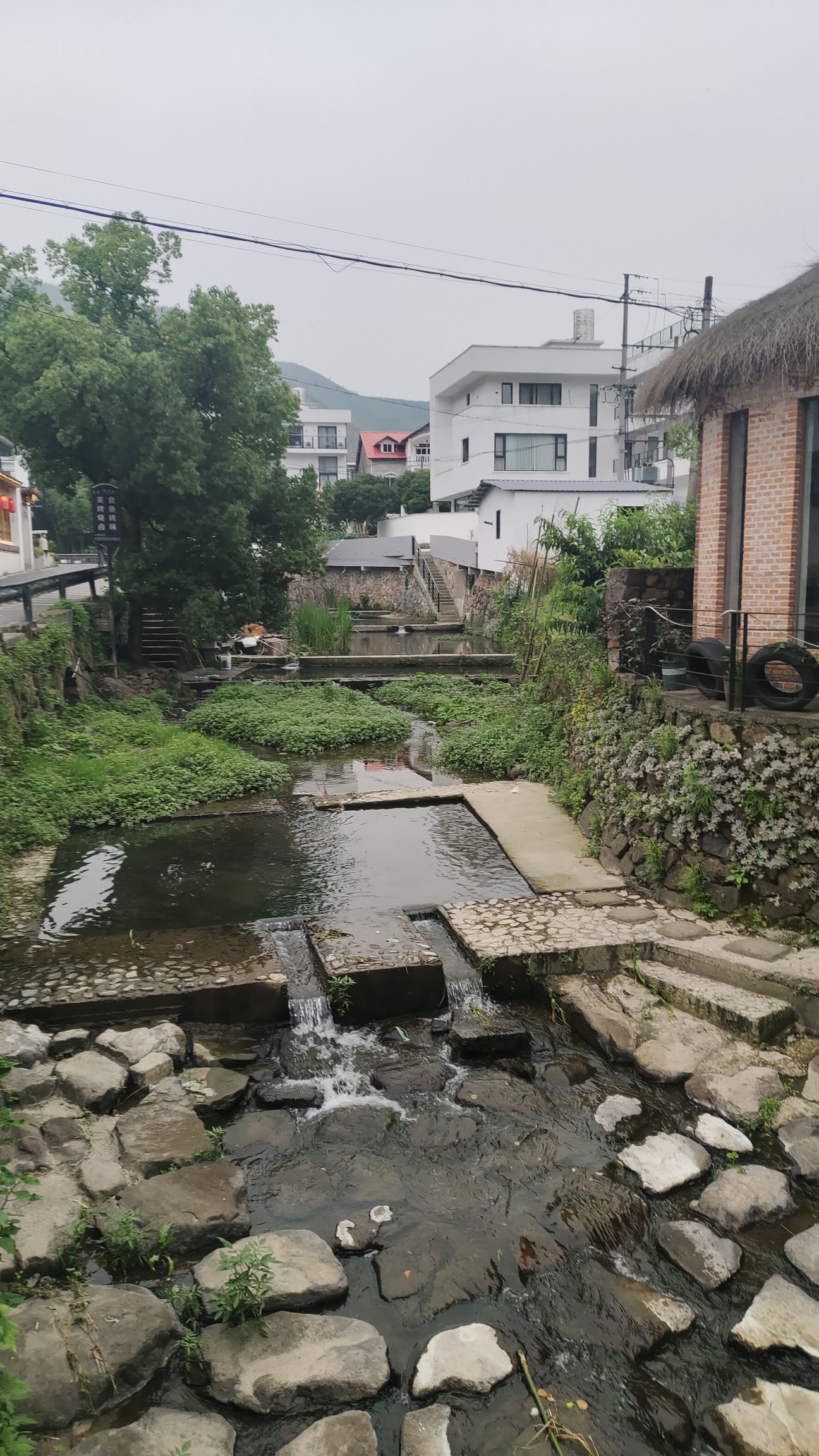 德清后坞村景区旅行图片 1