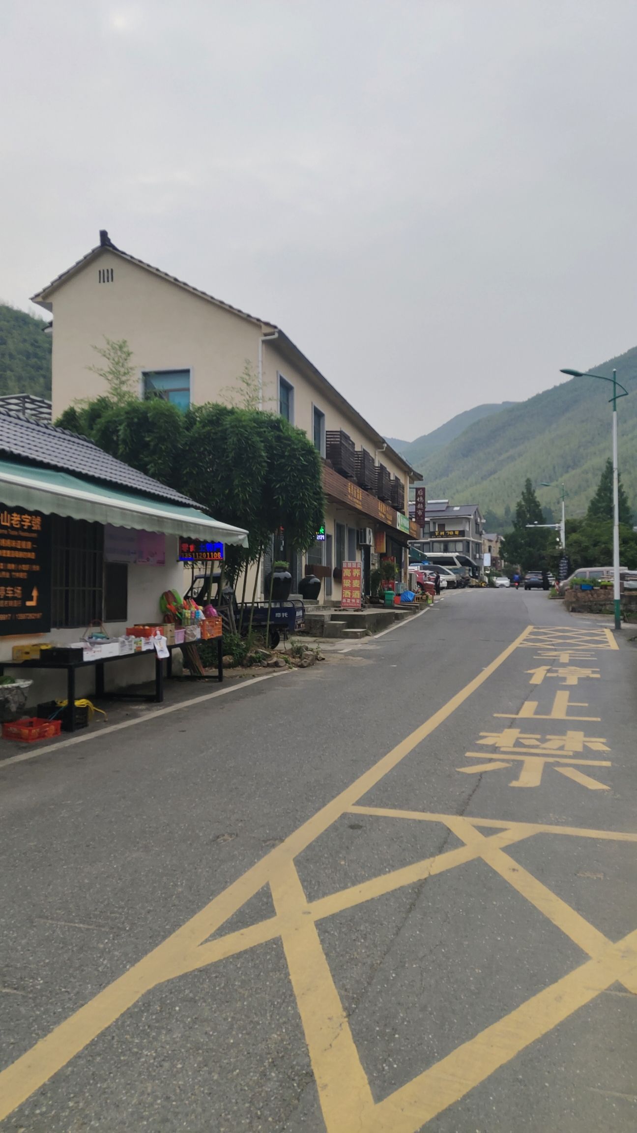 德清后坞村景区旅行图片 2