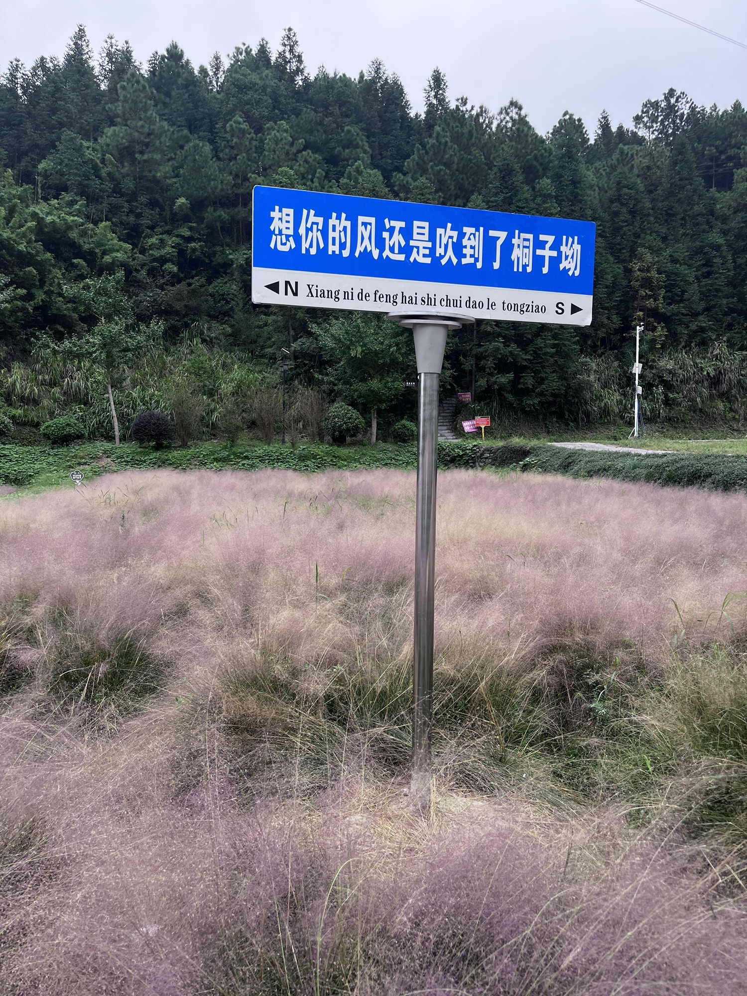 桐子坳景区旅行图片 2
