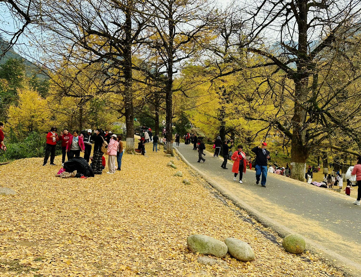 桐子坳景区旅行图片 2