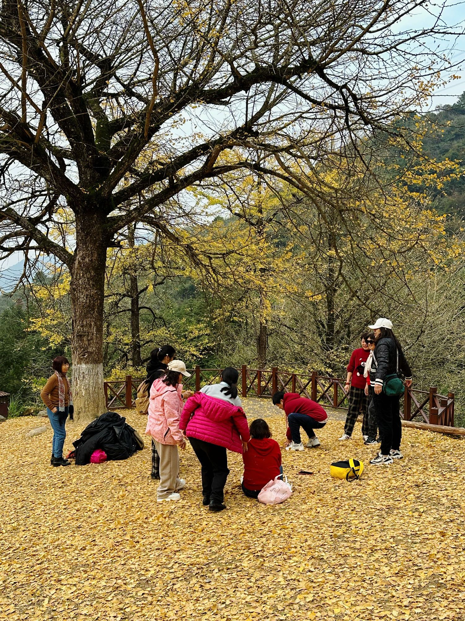 桐子坳景区旅行图片 3