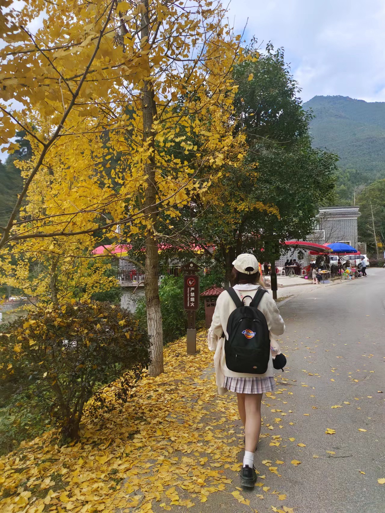桐子坳景区旅行图片 2