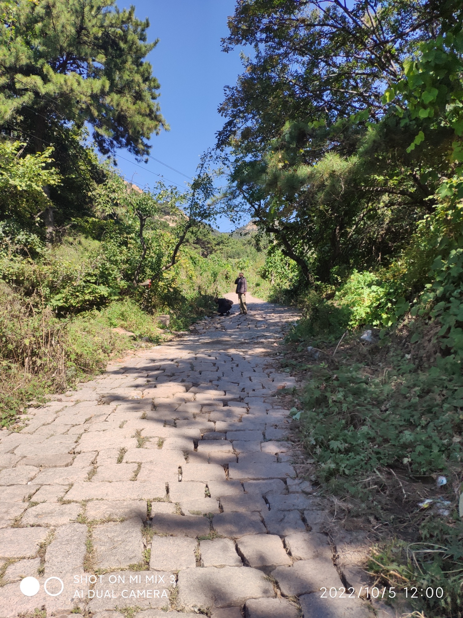 对桩石风景区旅行图片 2