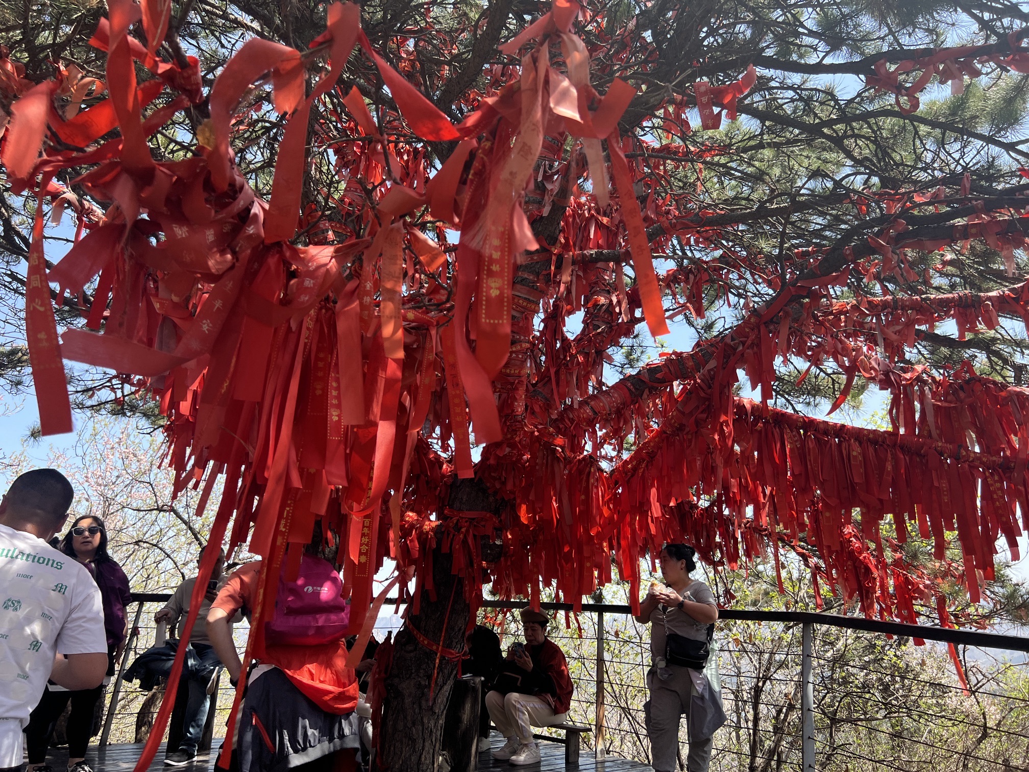 对桩石风景区旅行图片 3