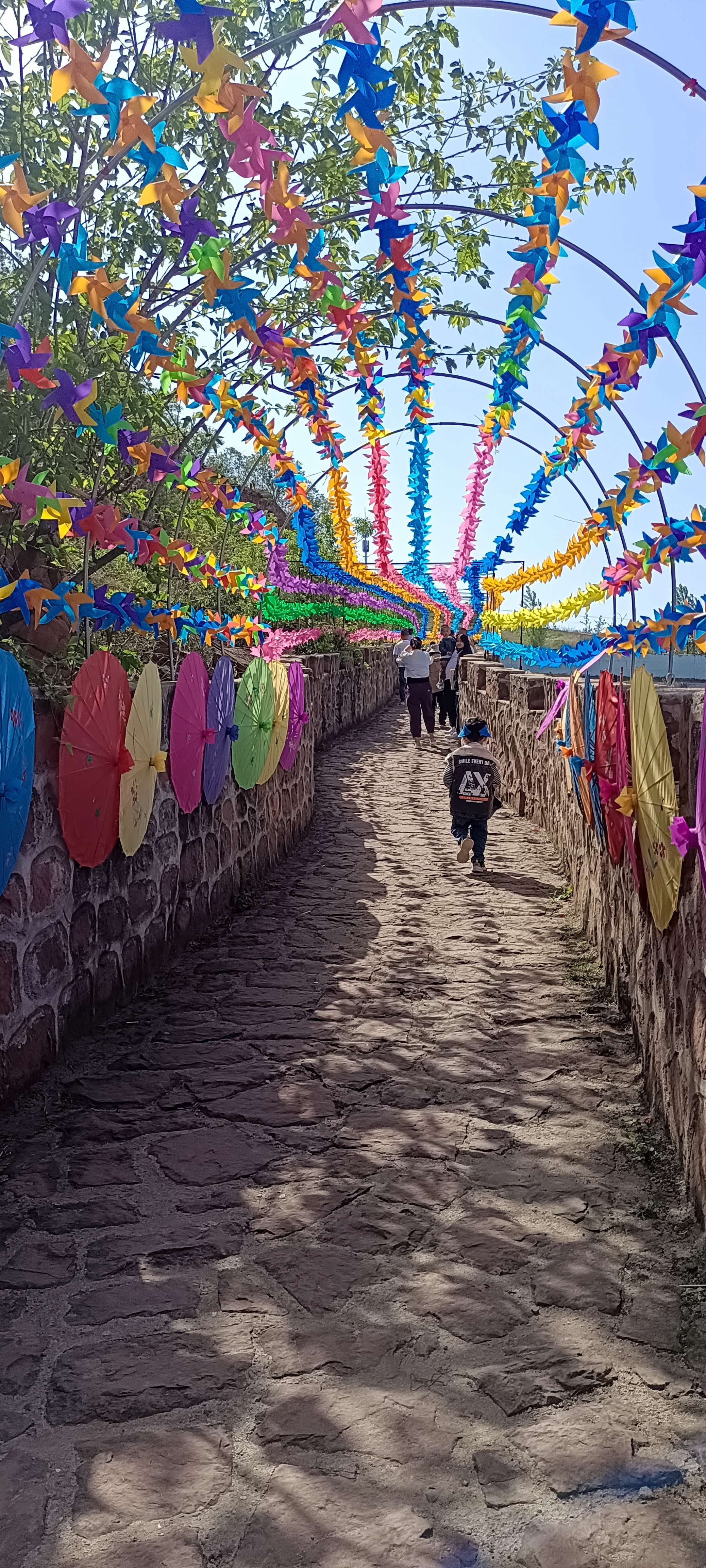 望海楼四季慢城旅行图片 3