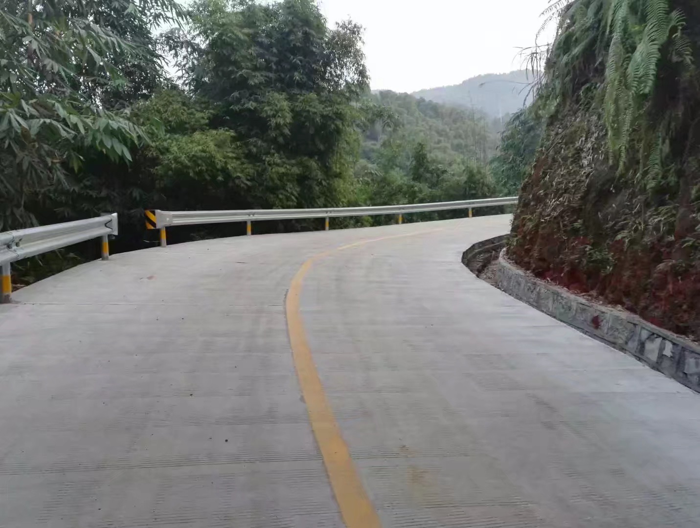 连天山森林公园旅行图片 2