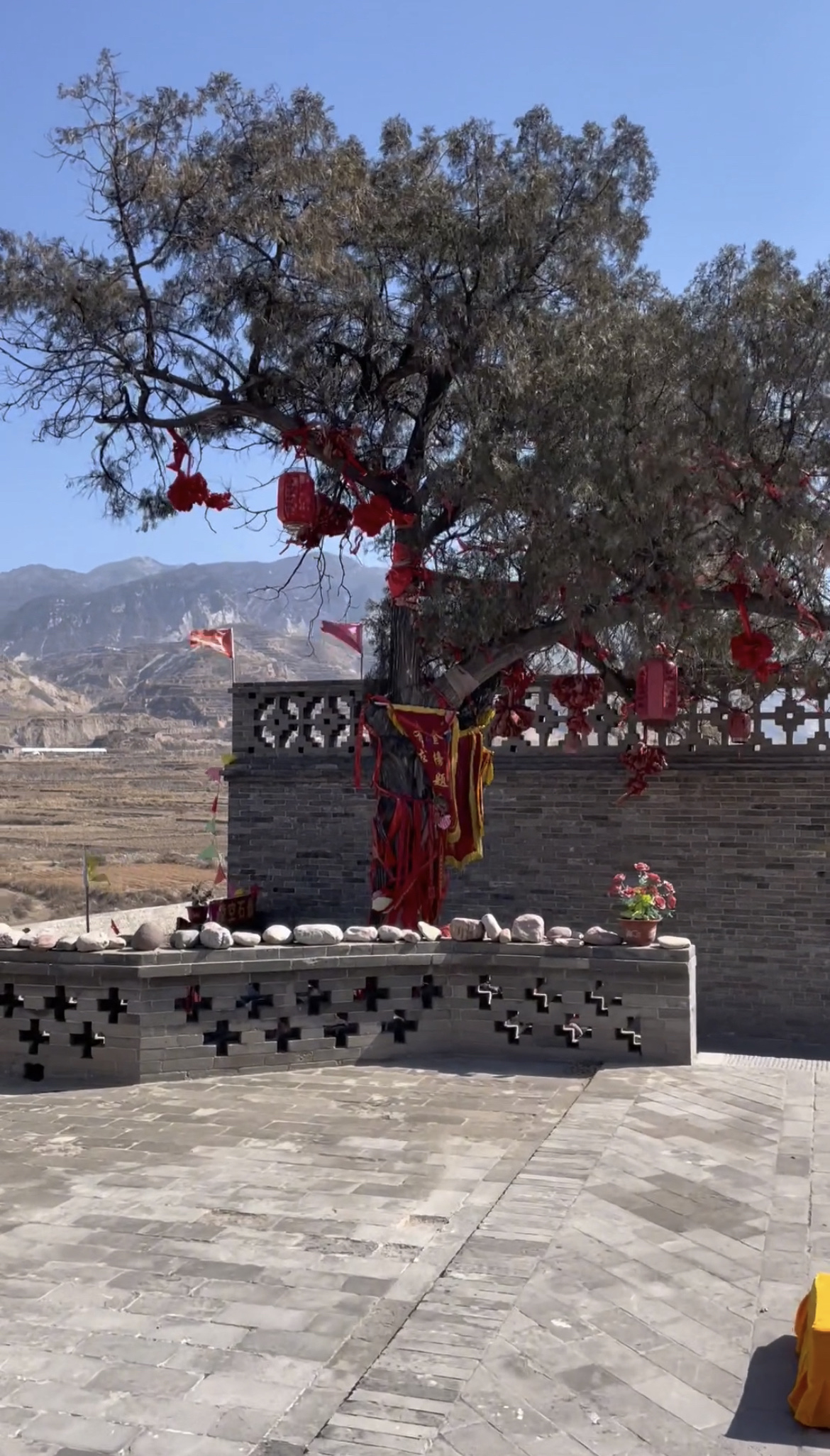 凌空塔旅行图片 2