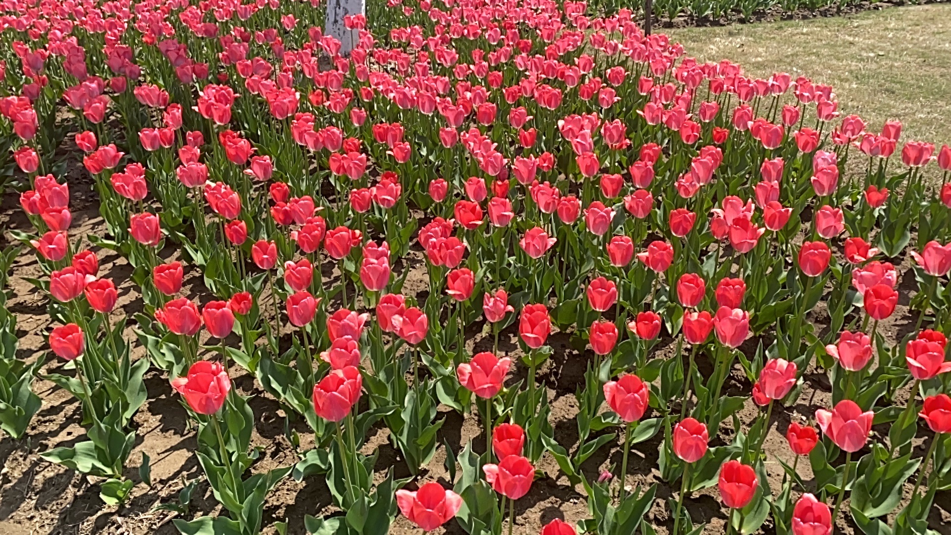 颍淮花园旅行图片 3