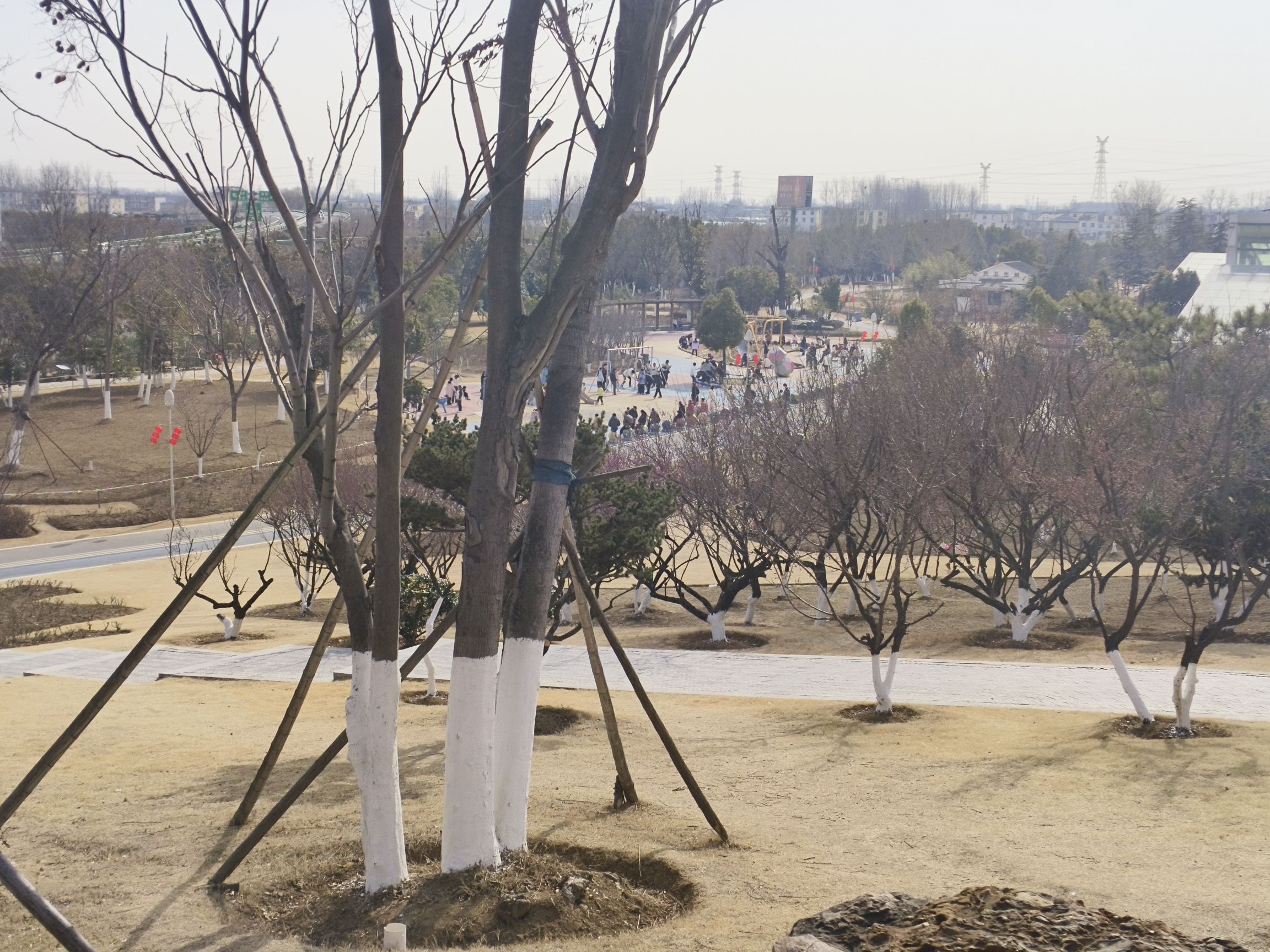 颍淮花园旅行图片 3