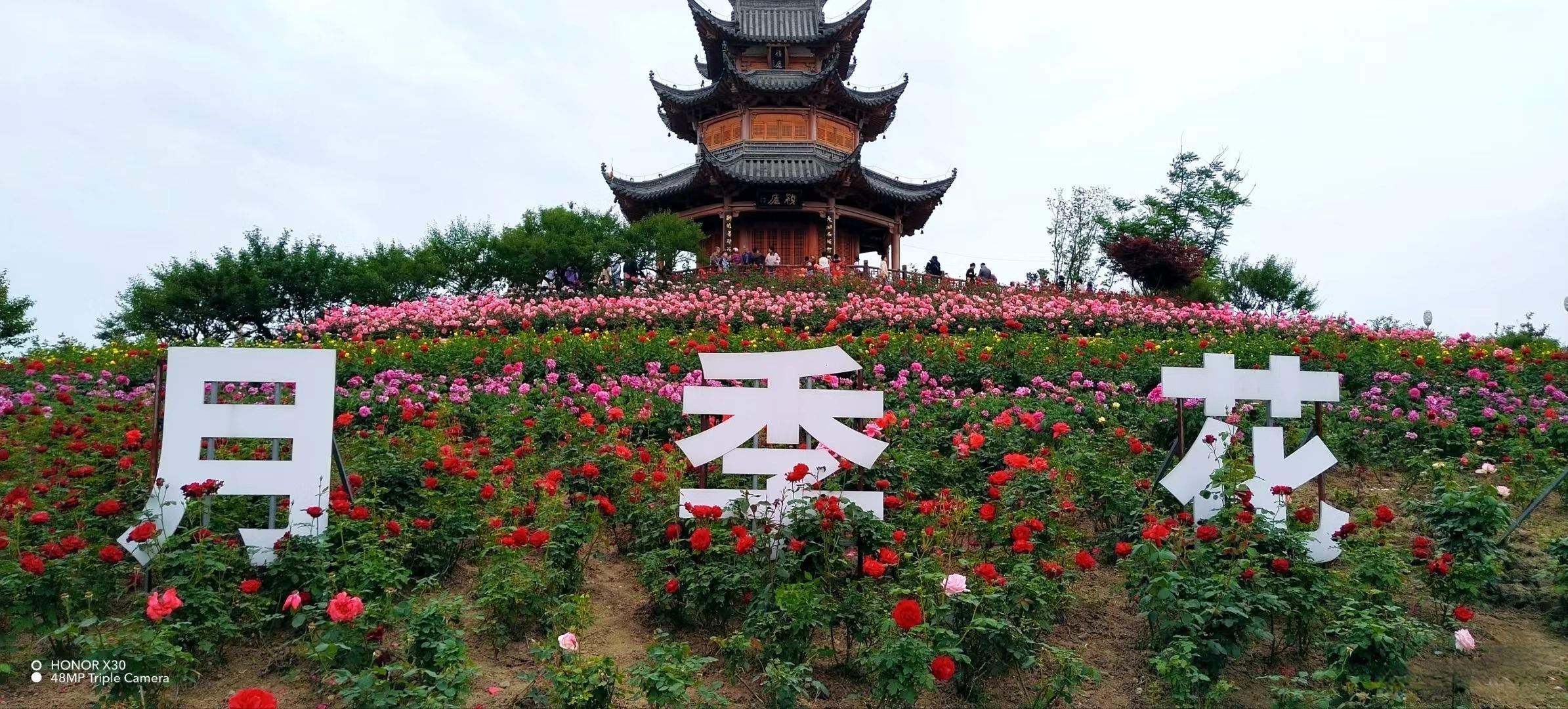 颍淮花园旅行图片 1