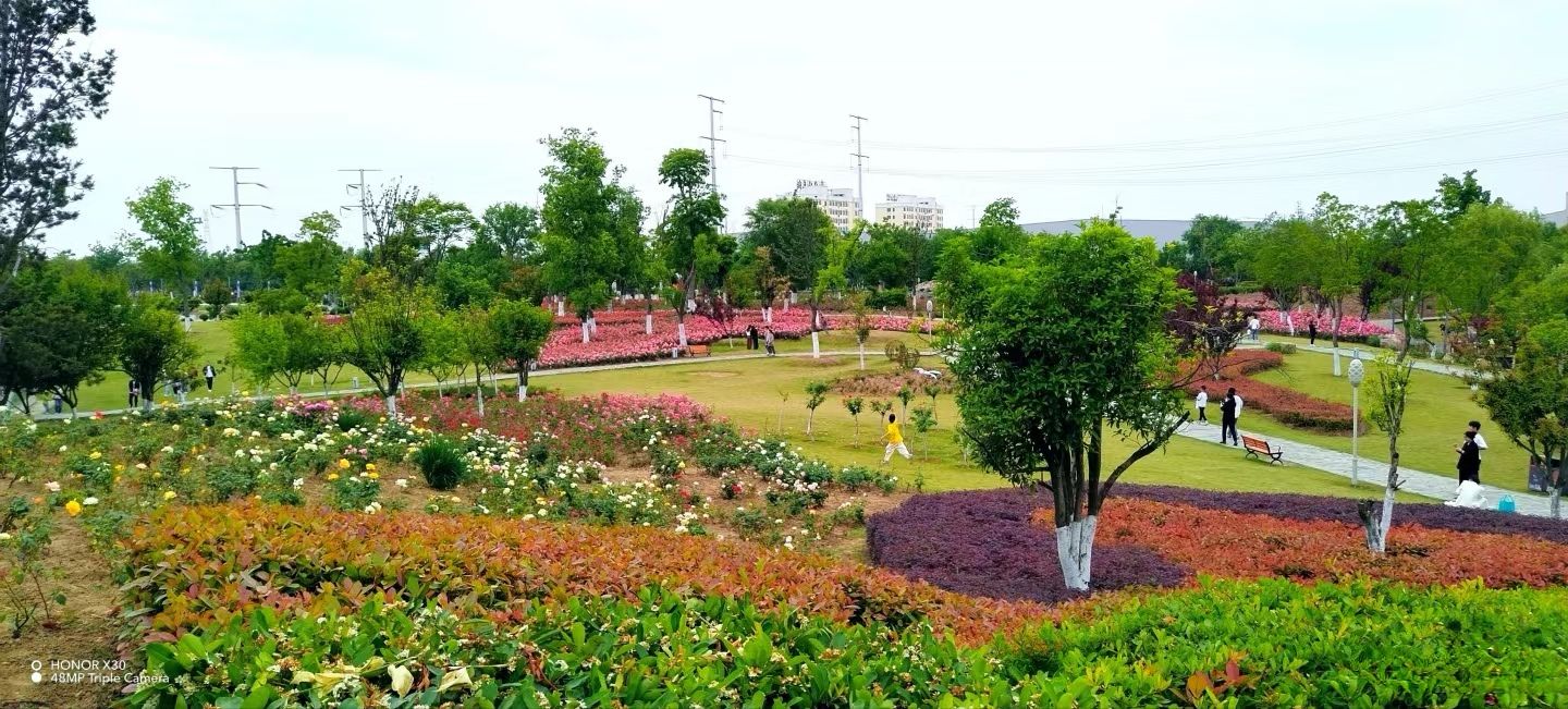 颍淮花园旅行图片 2
