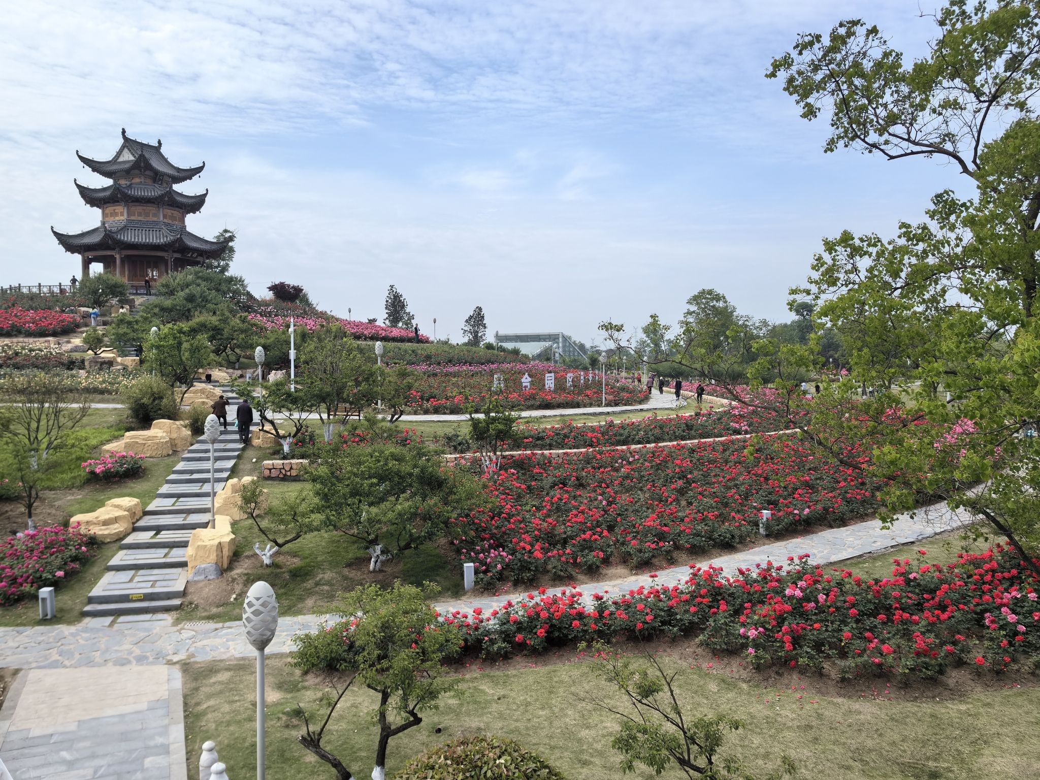 颍淮花园景点图片