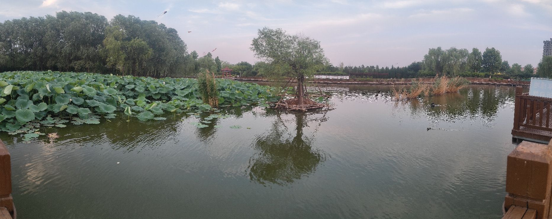清泉公园旅行图片 2