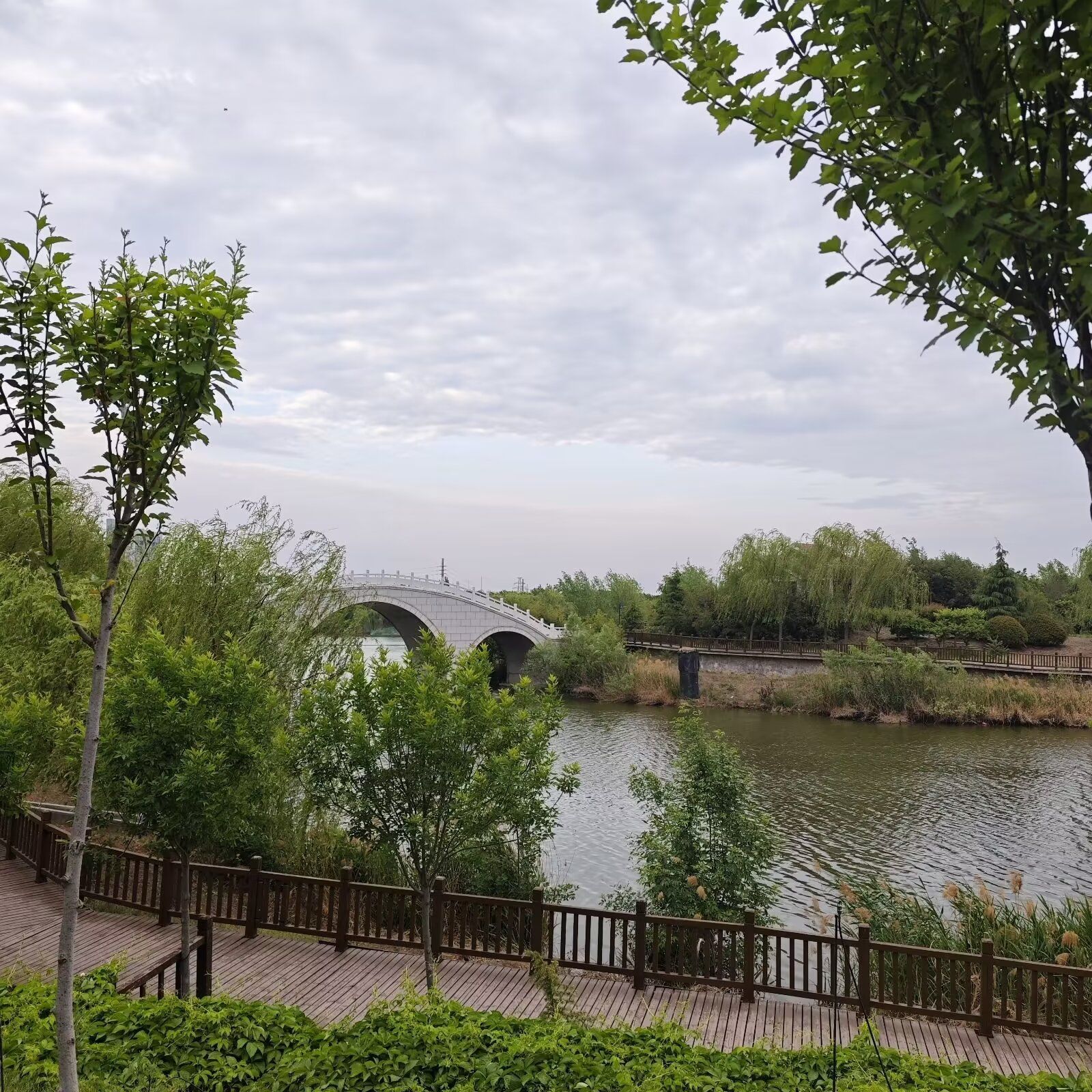 清泉公园旅行图片 2