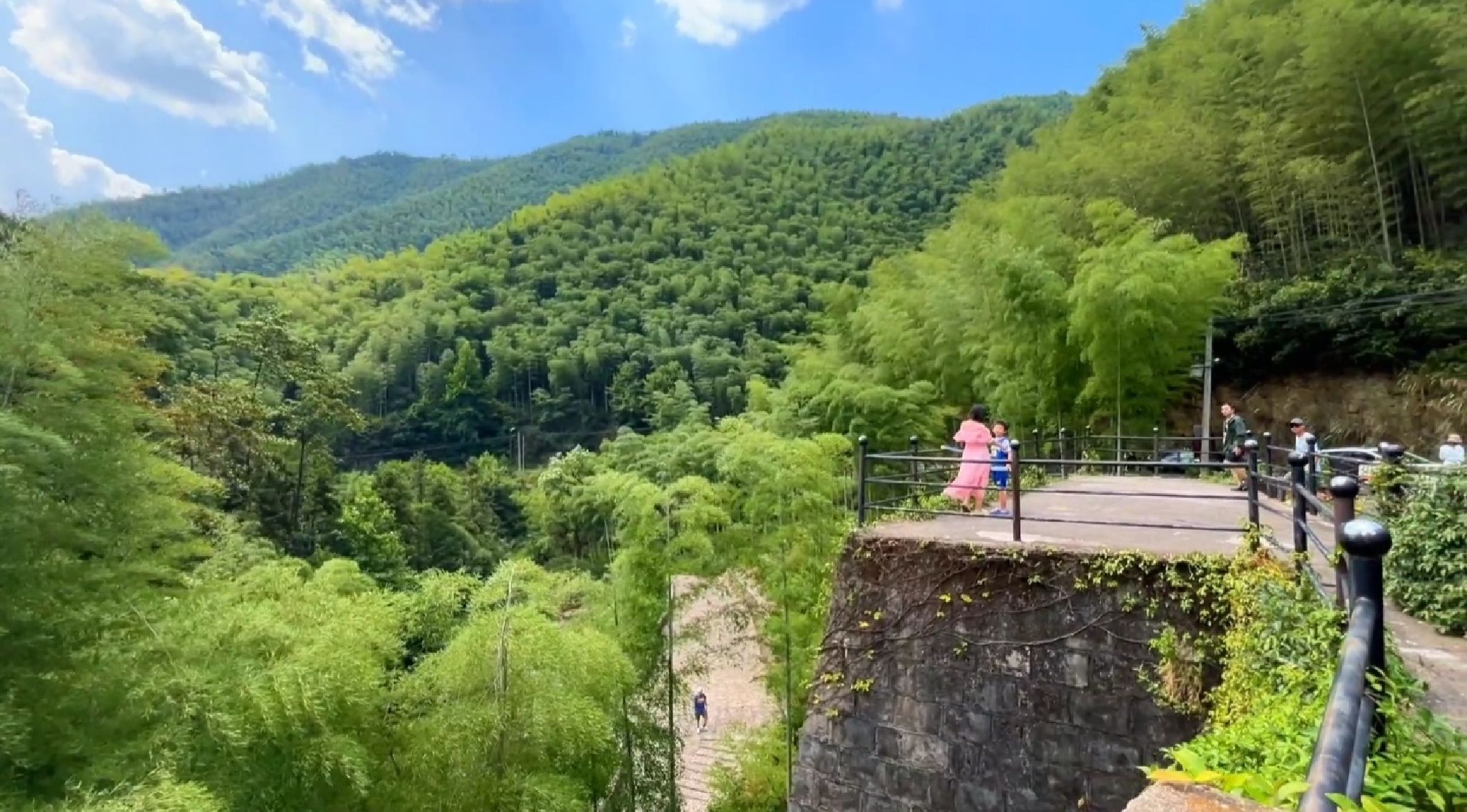 知青坝