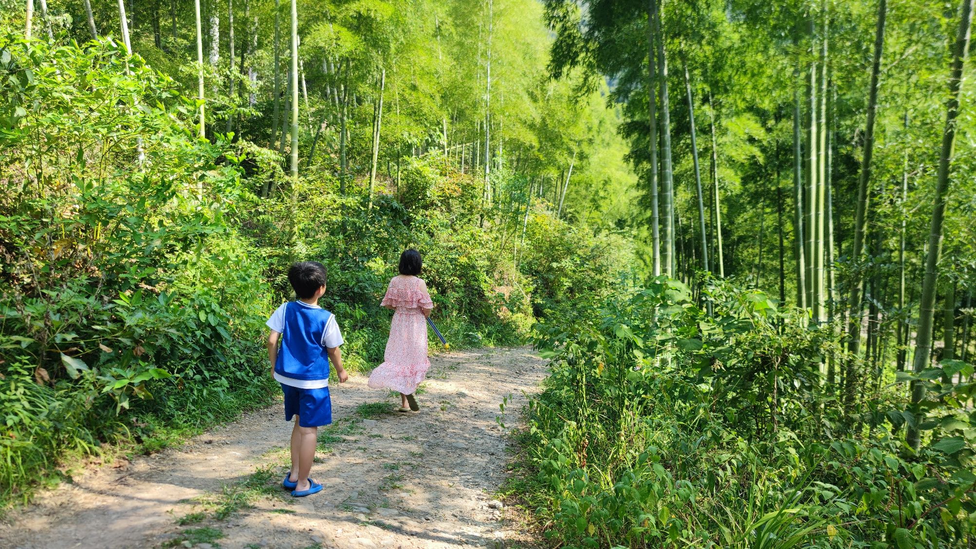 知青坝旅行图片 3
