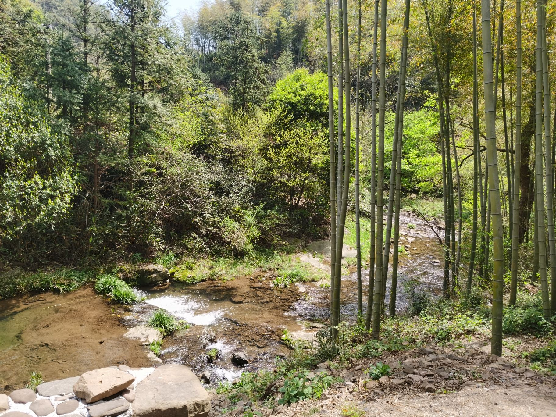 知青坝