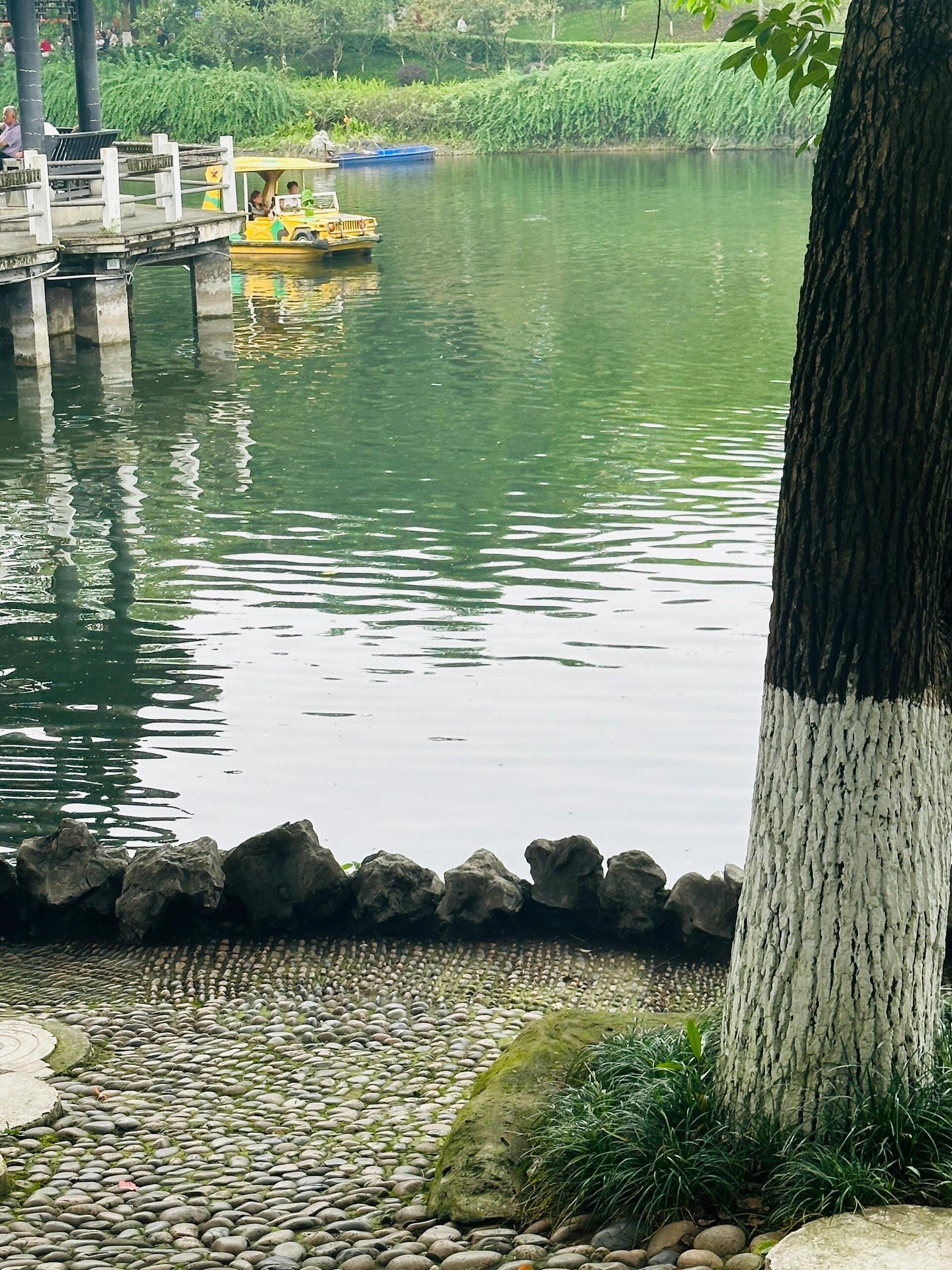 鹤山市沙坪河南岸湿地公园旅行图片 2