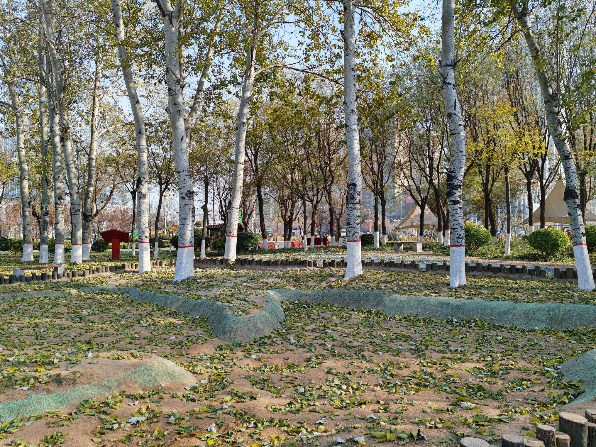 知秋园旅行图片 2