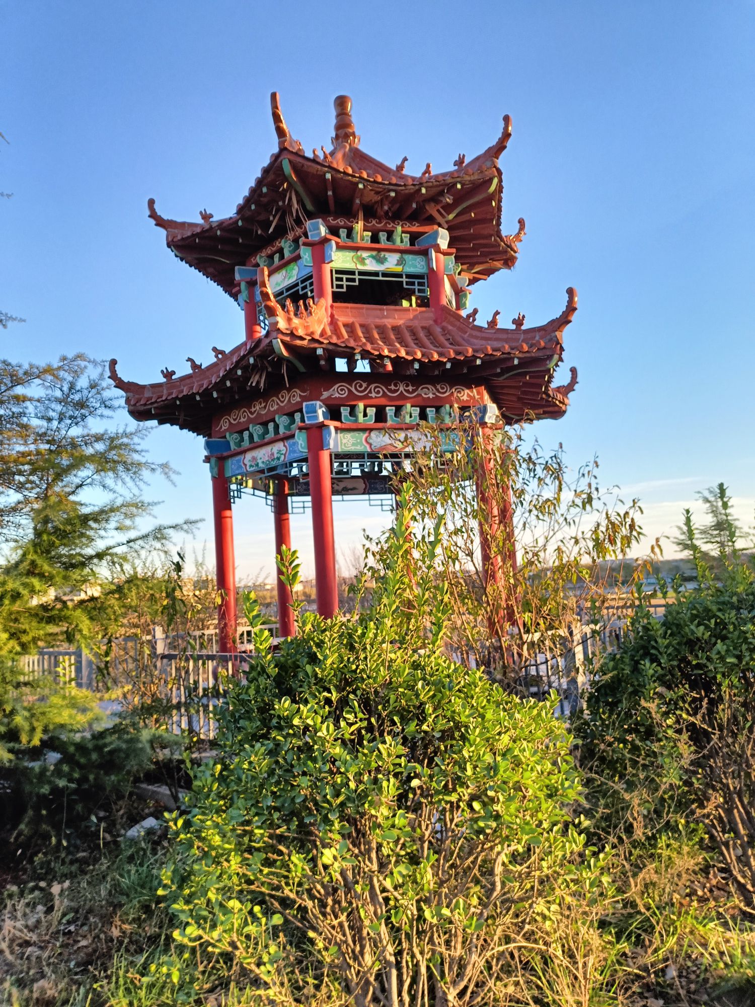 齐河赵牛河人工湿地公园旅行图片 3
