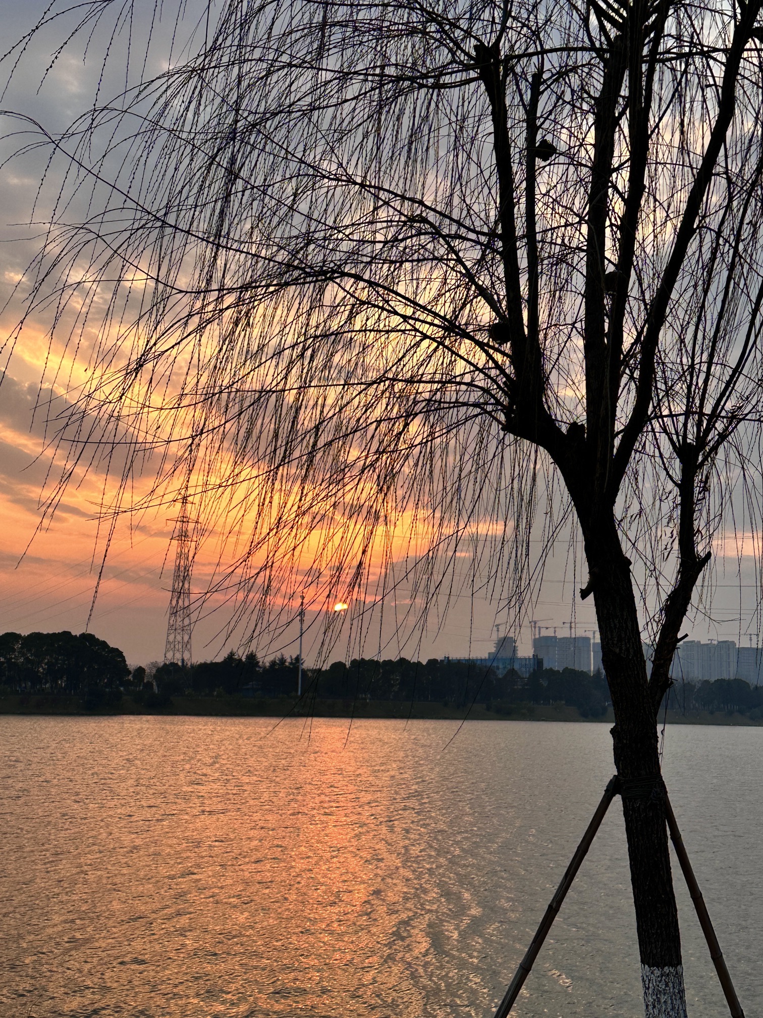 东风湖生态公园旅行图片 2