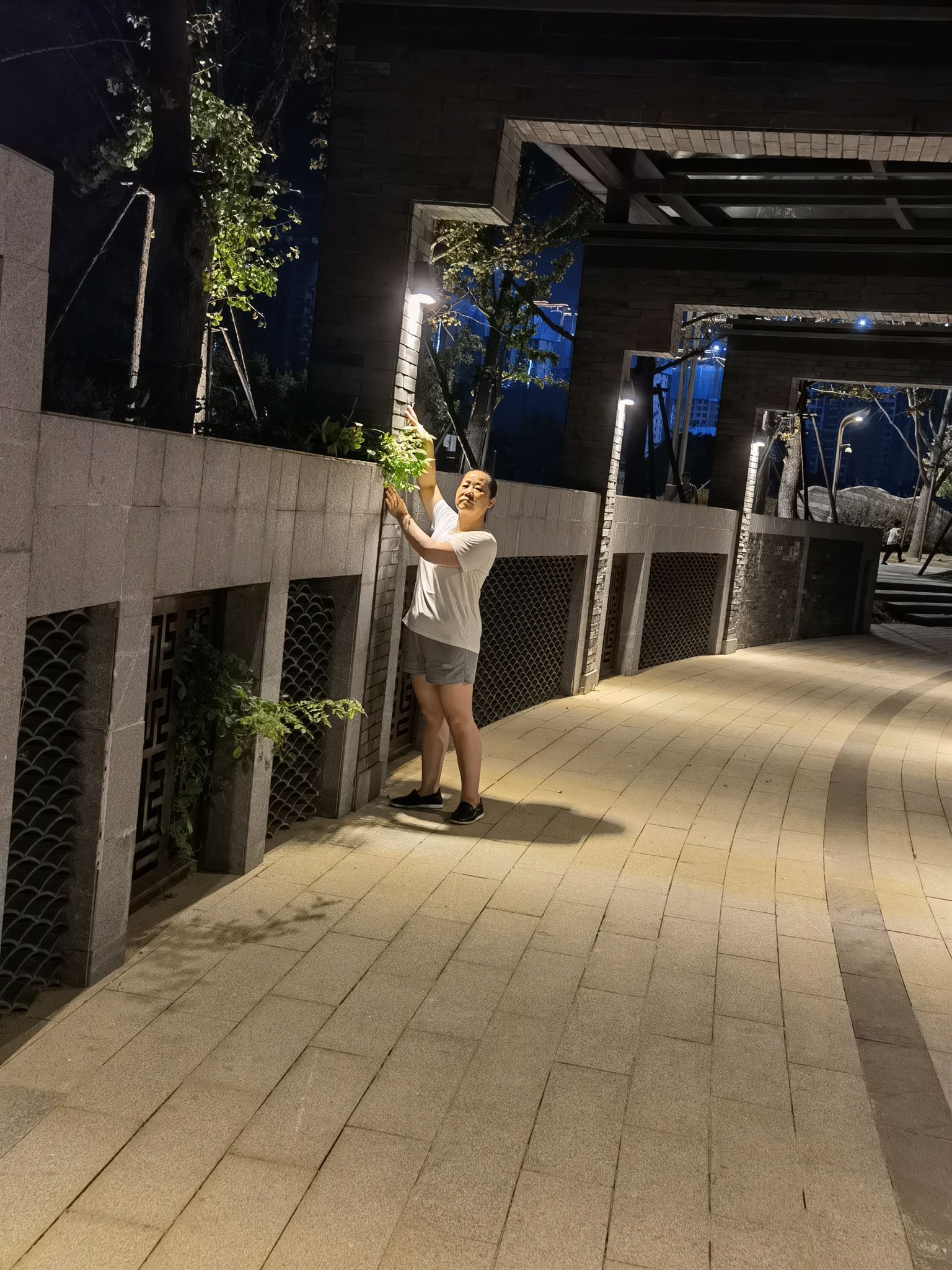 东风湖生态公园旅行图片 1